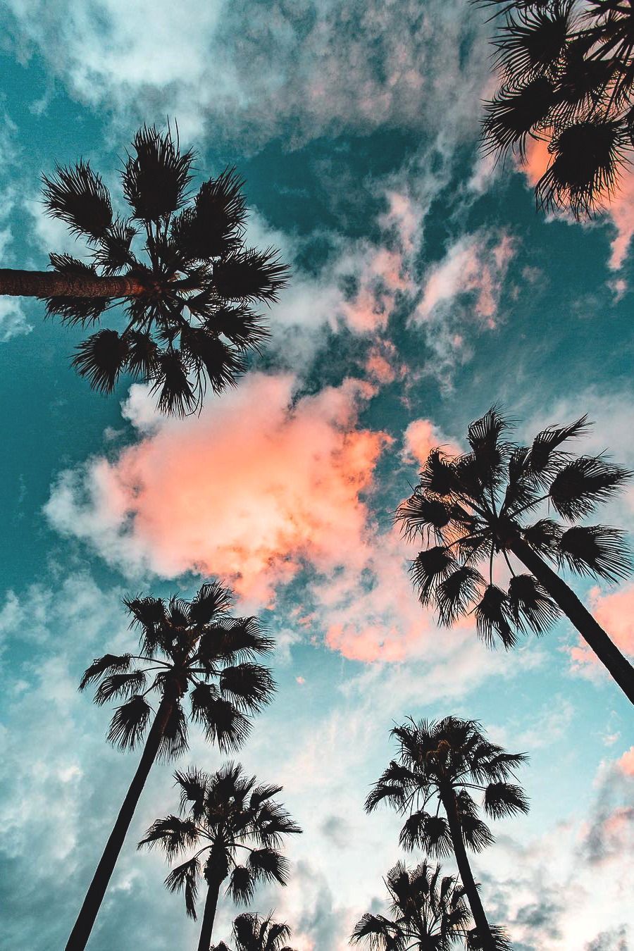 California Beach Iphone Wallpapers