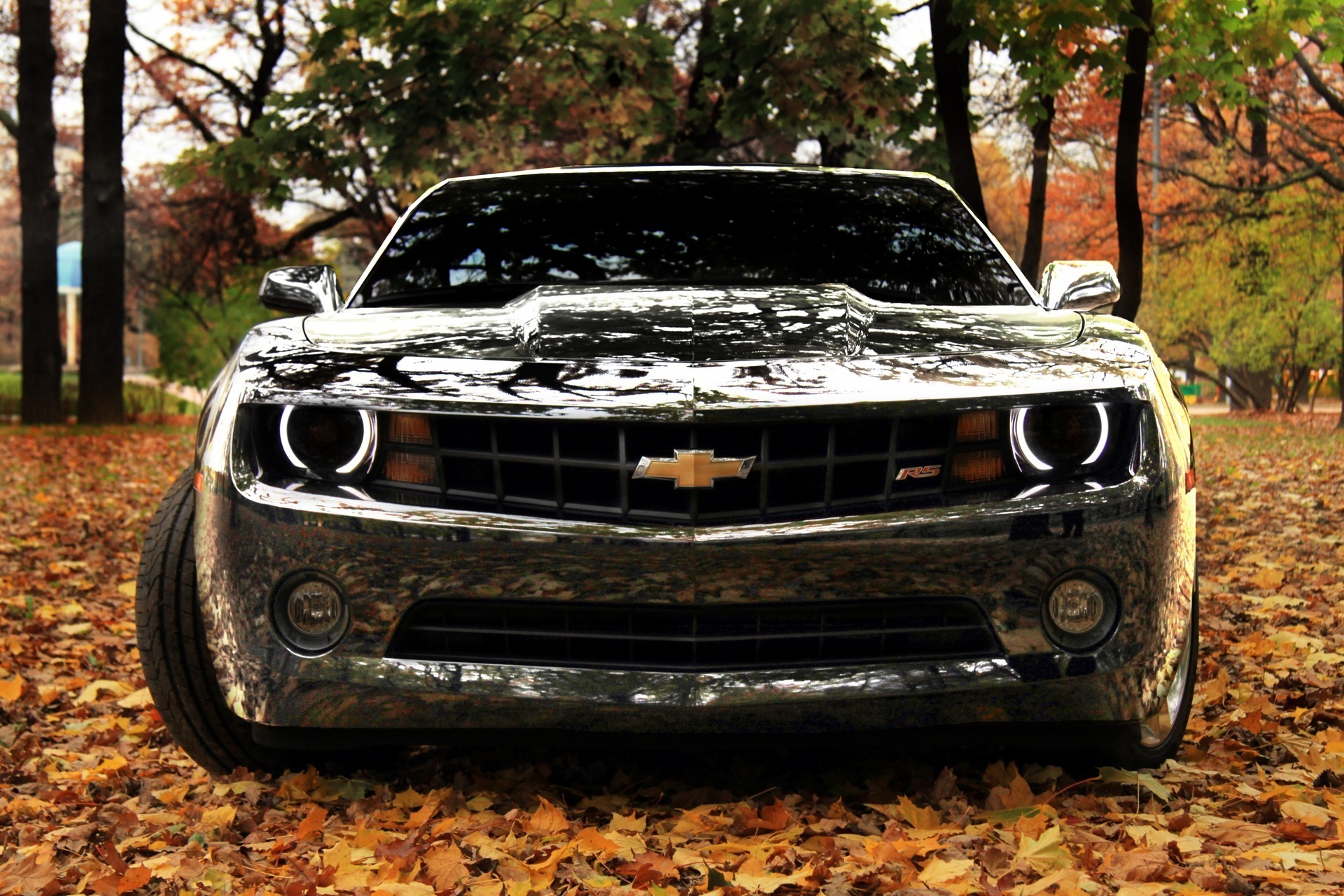 Camaro Wallpapers