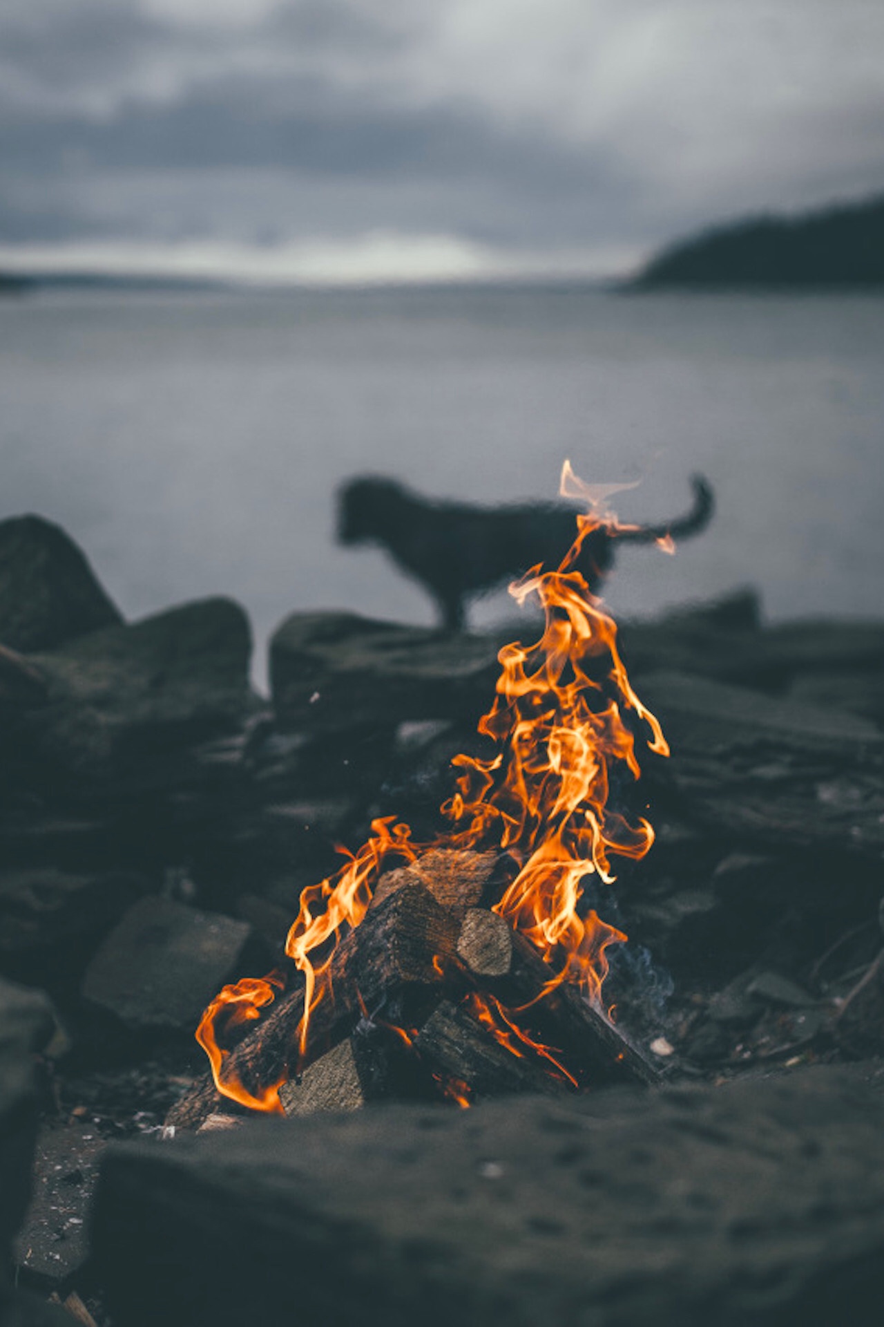 Campfire Wallpapers