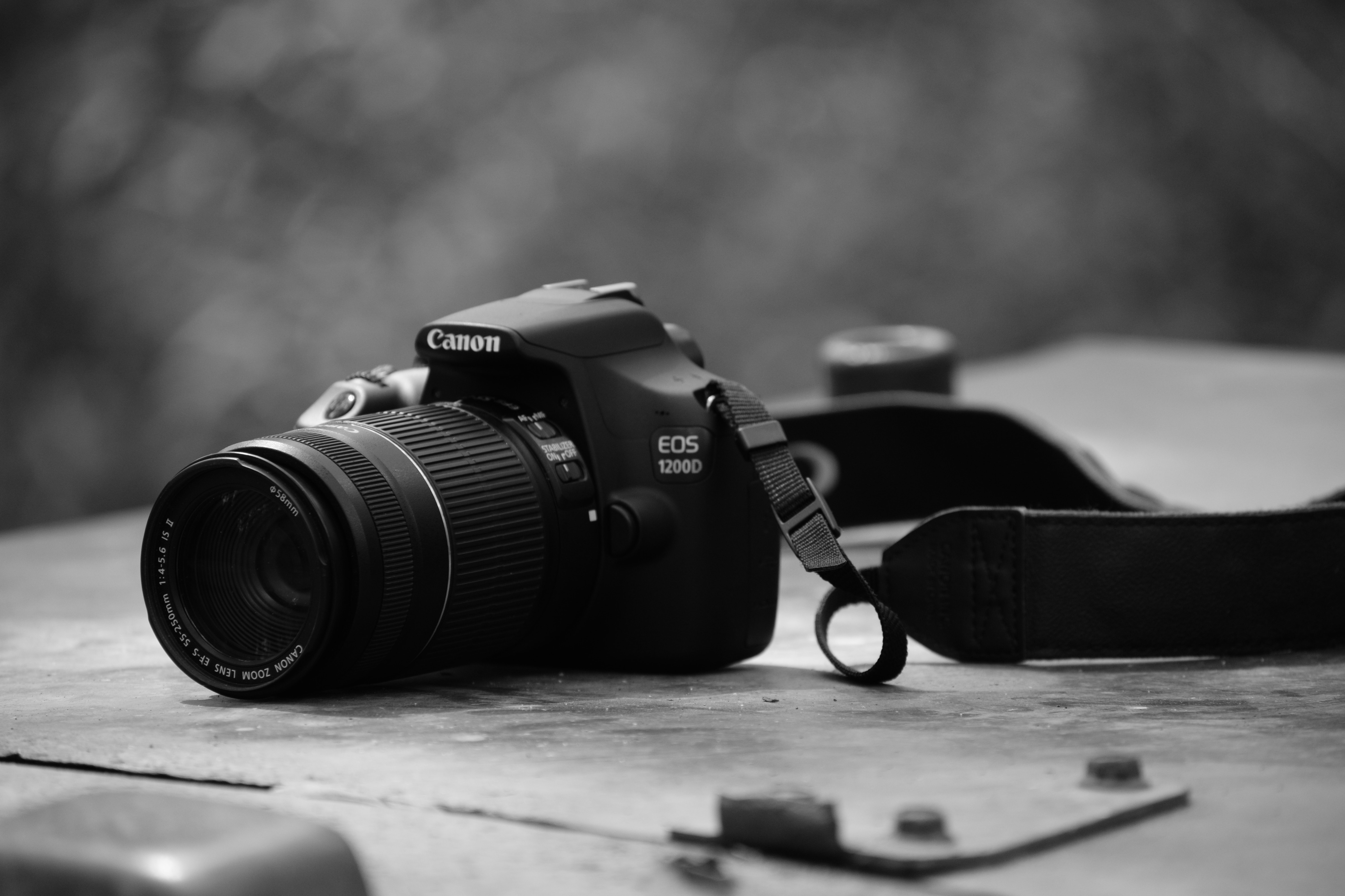 Canon Camera Aesthetic Wallpapers