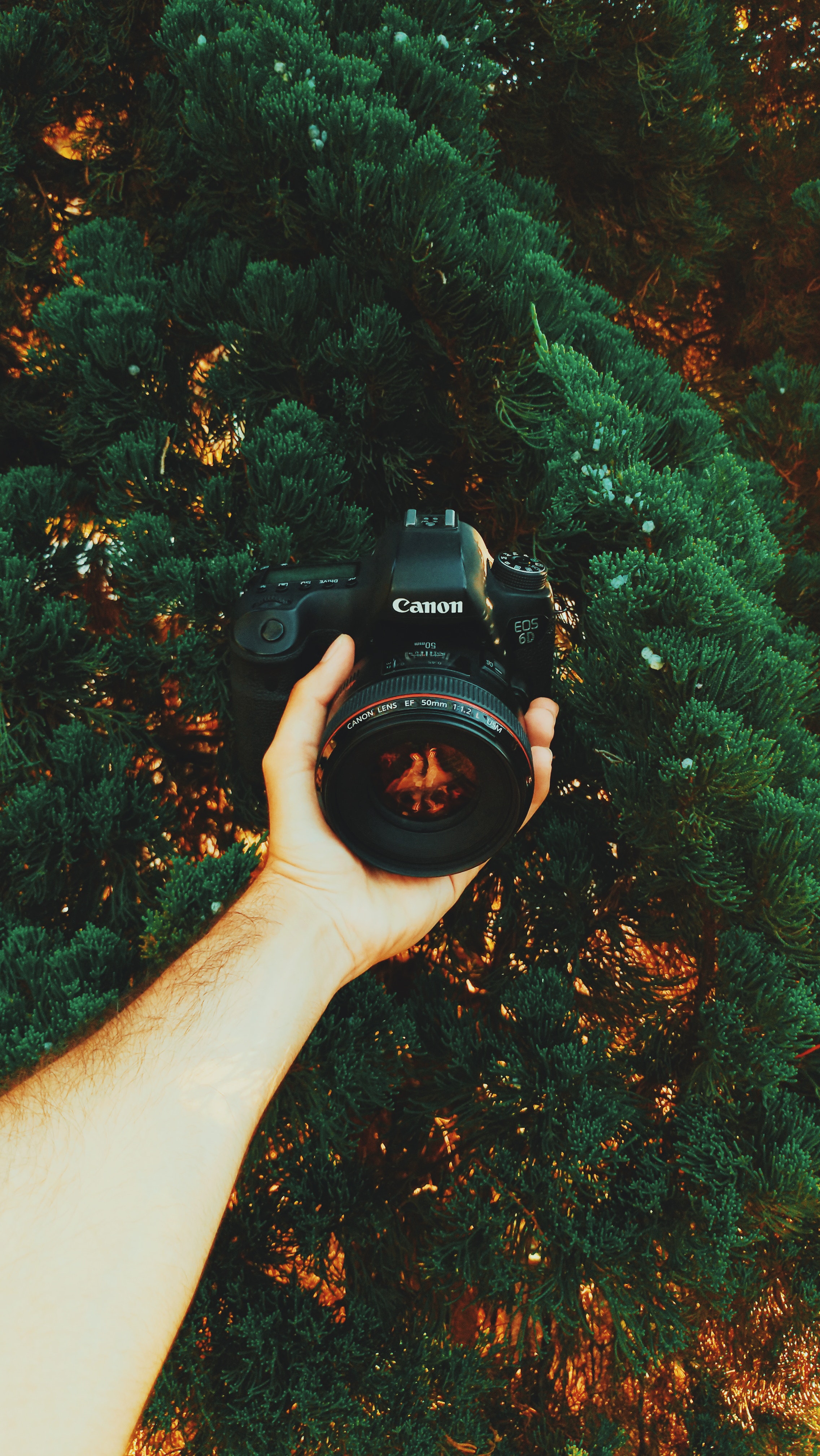 Canon Camera Aesthetic Wallpapers