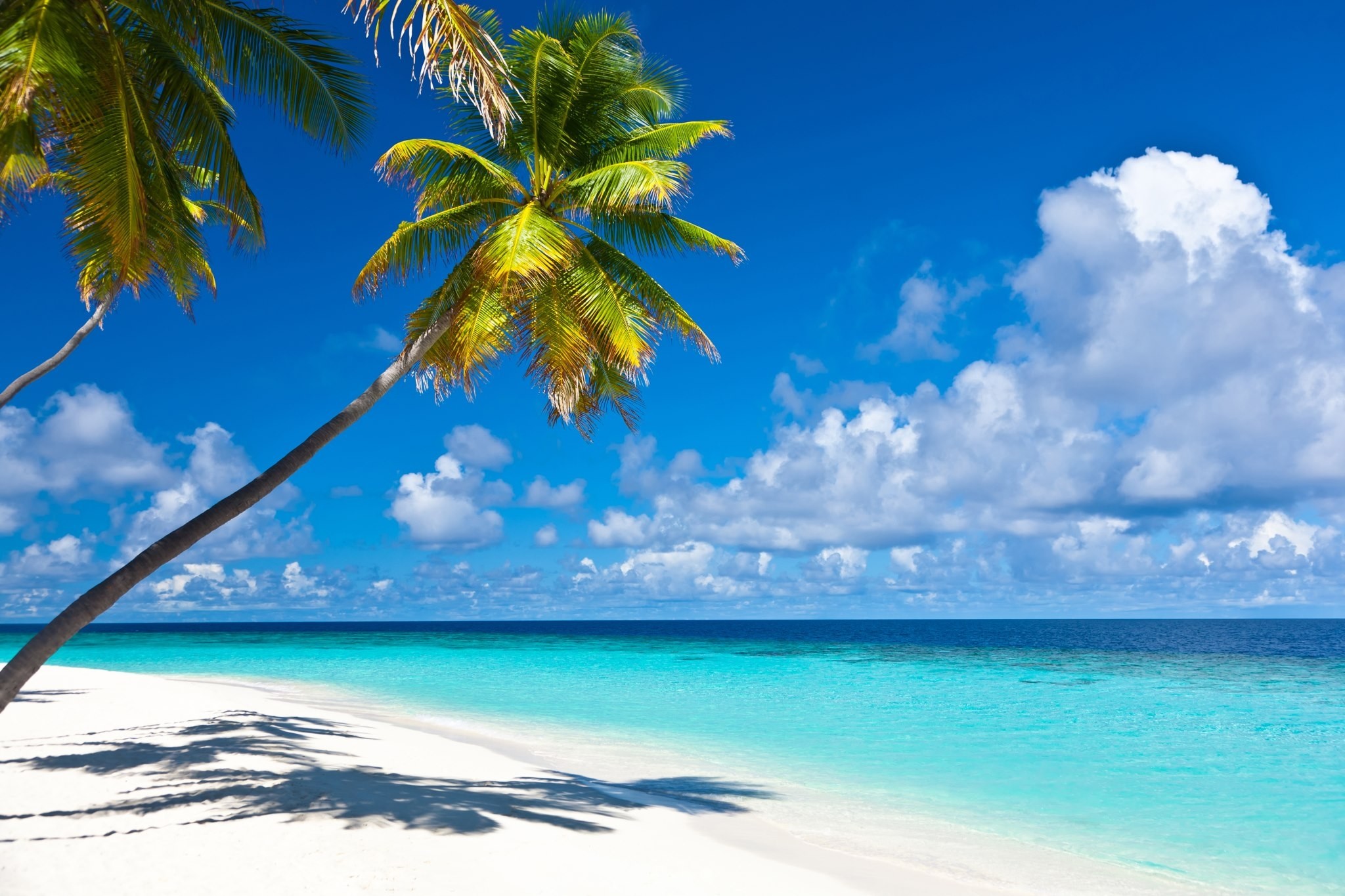 Caribbean Beaches Desktop Wallpapers