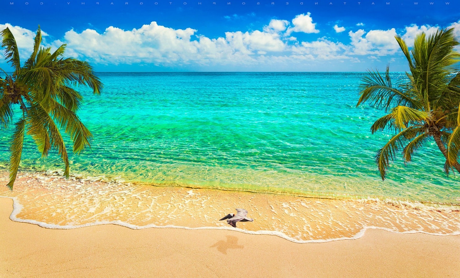 Caribbean Beaches Desktop Wallpapers