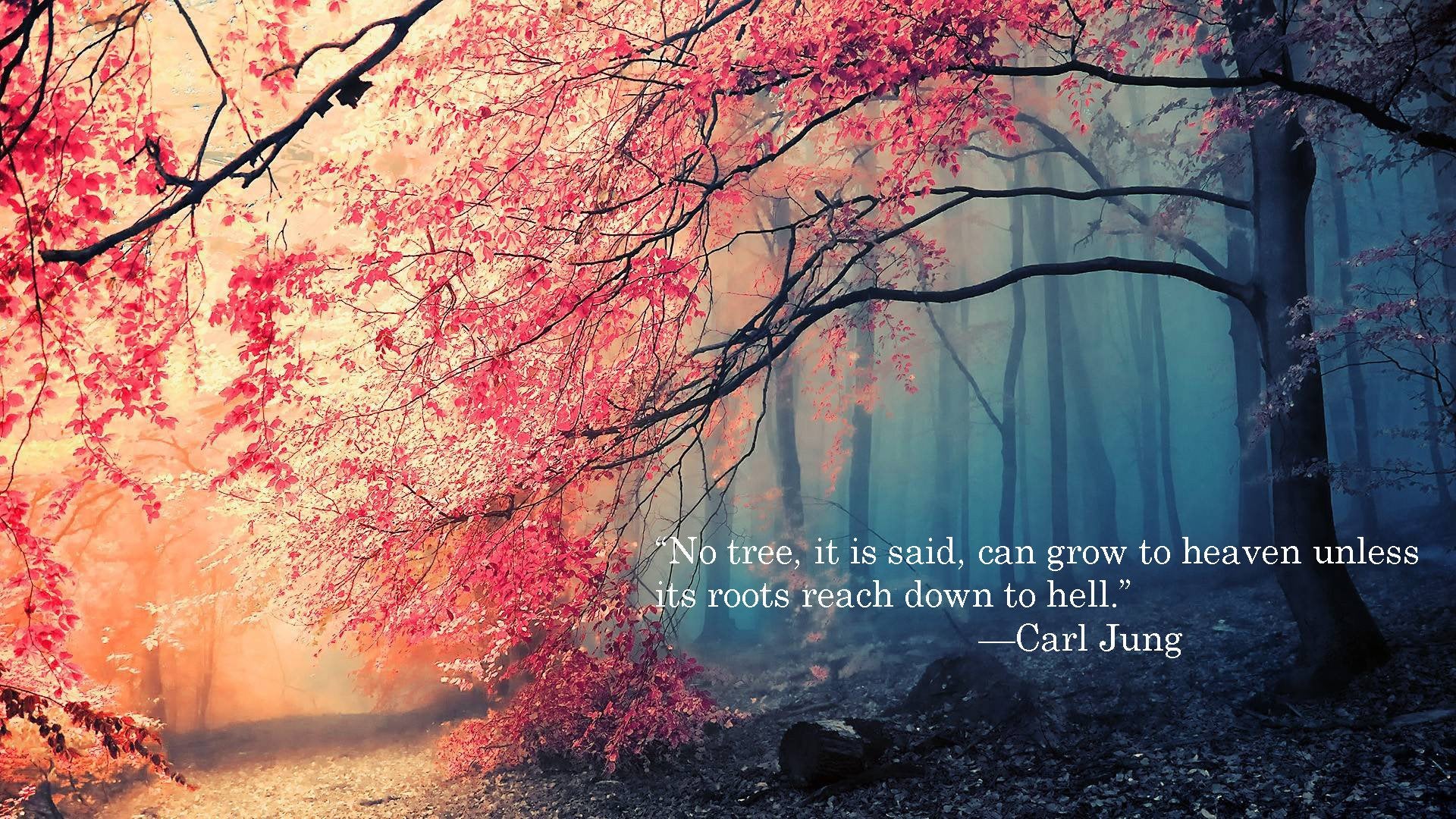 Carl Jung Wallpapers