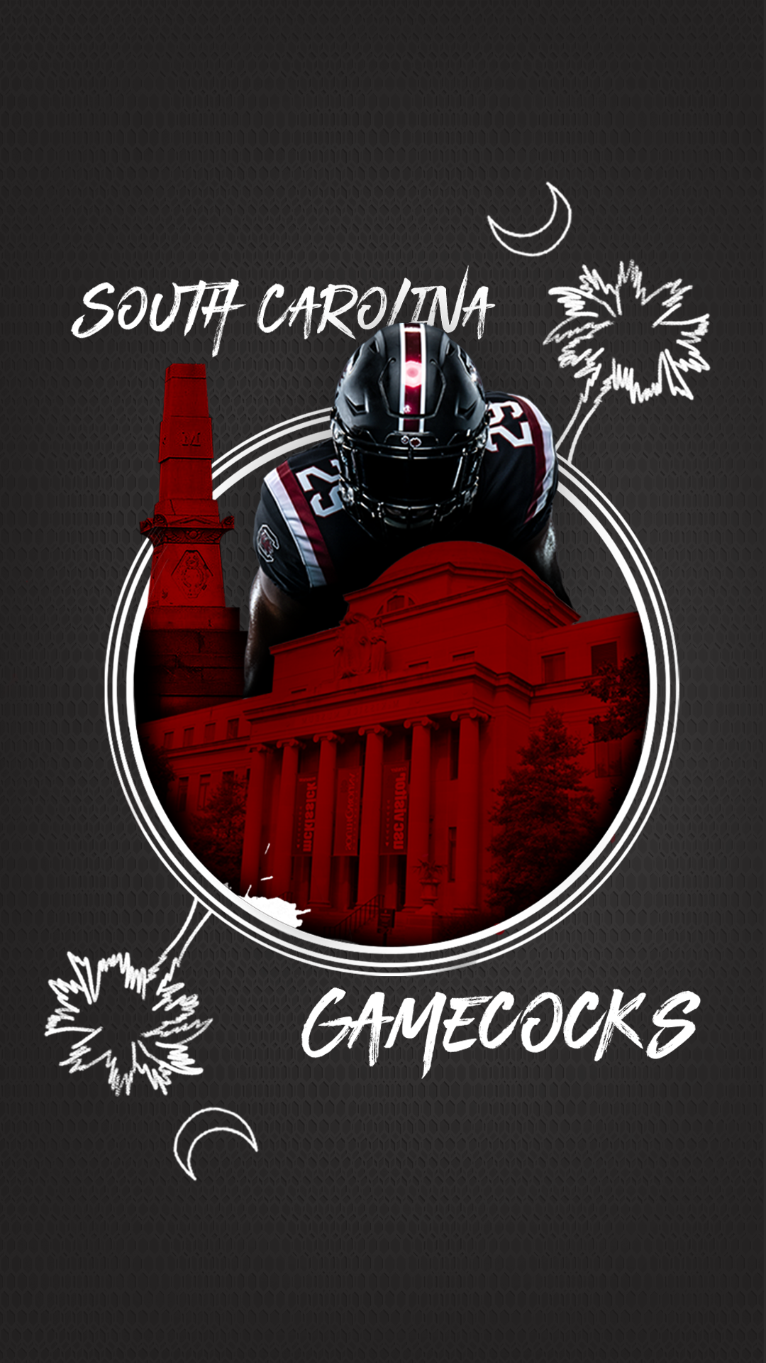 Carolina Gamecock Wallpapers