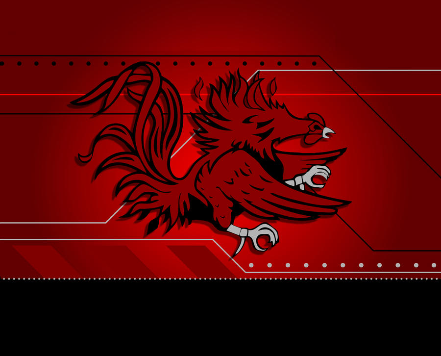 Carolina Gamecock Wallpapers