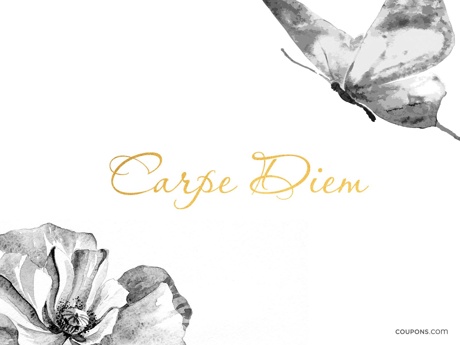 Carpe Diem Wallpapers