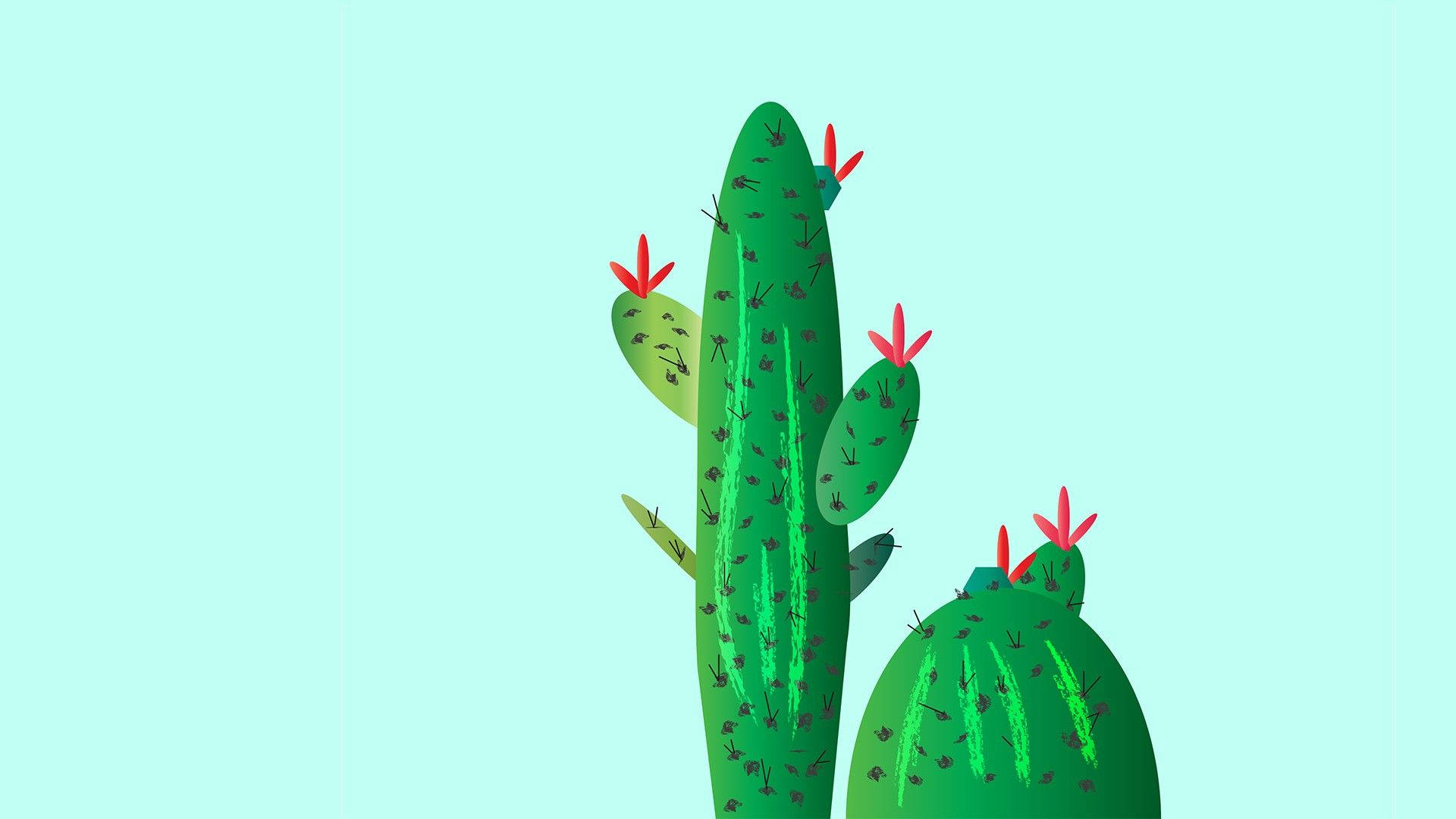 Cartoon Cactus Wallpapers