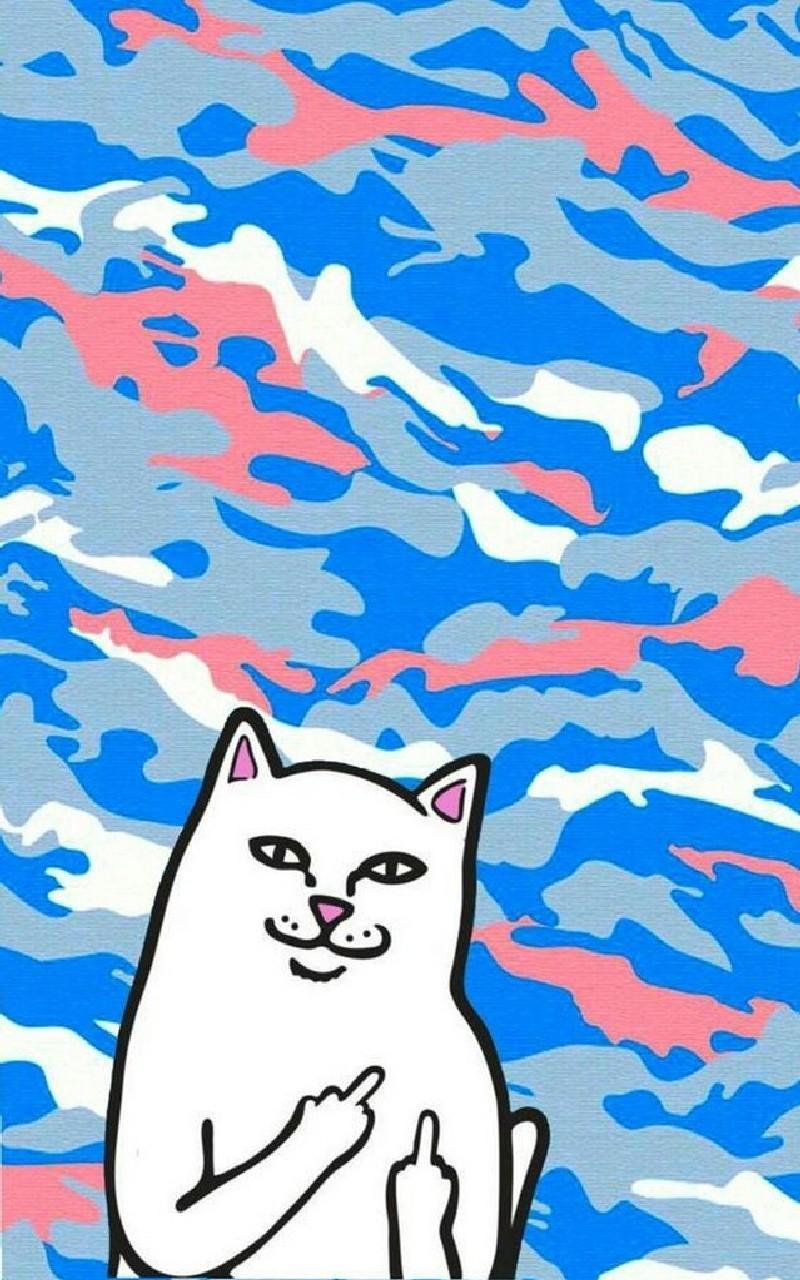 Cat Flipping Off Wallpapers