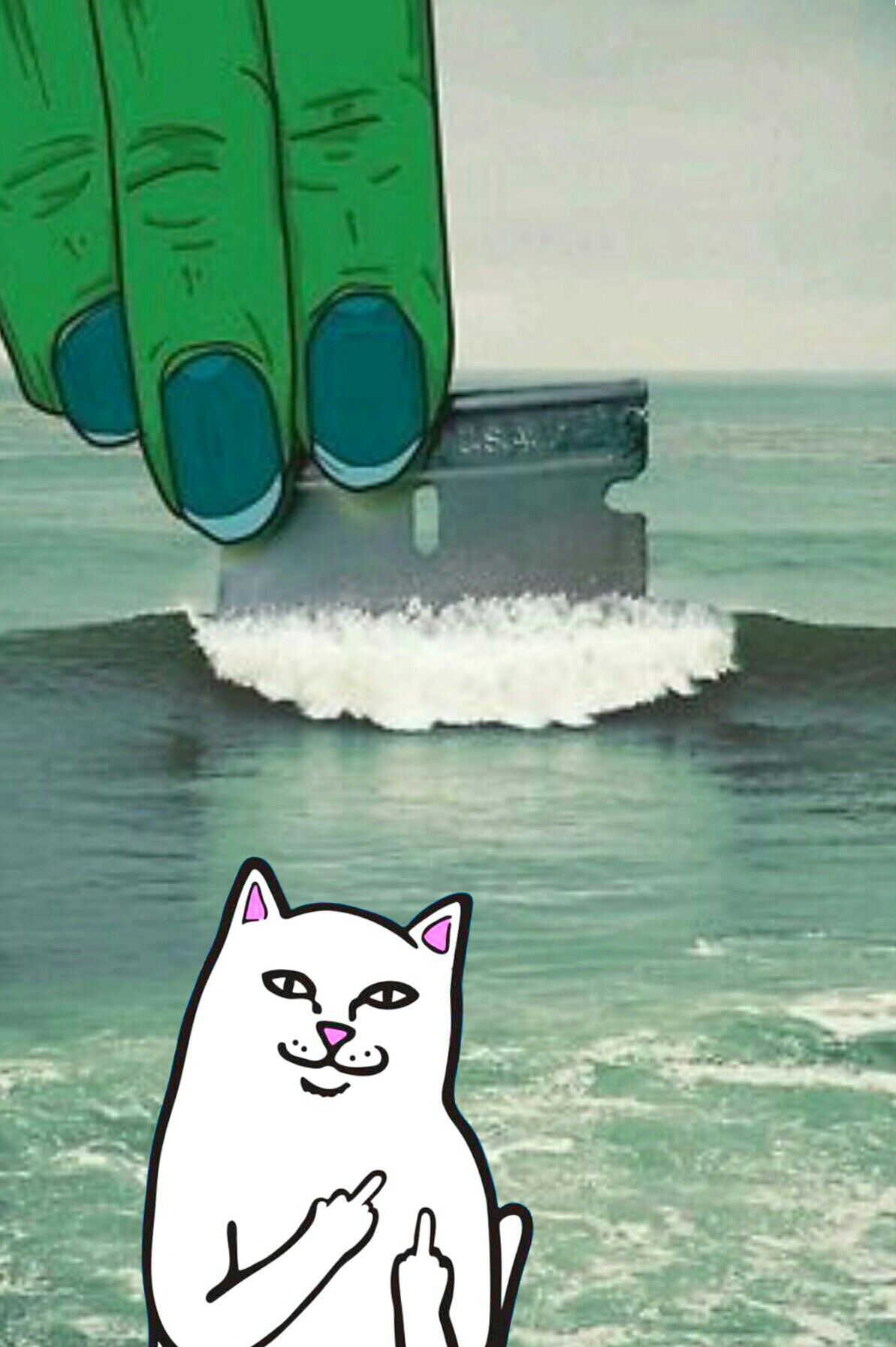 Cat Flipping Off Wallpapers