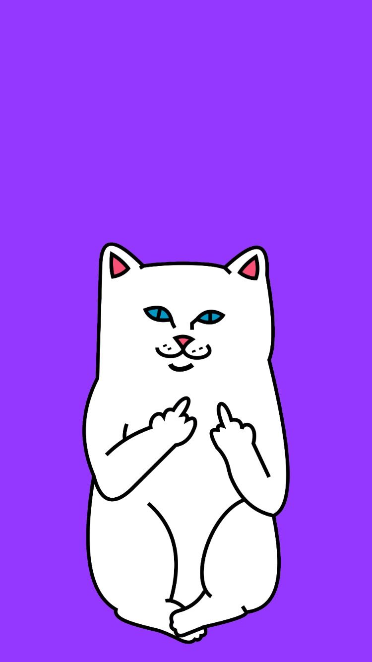 Cat Flipping Off Wallpapers