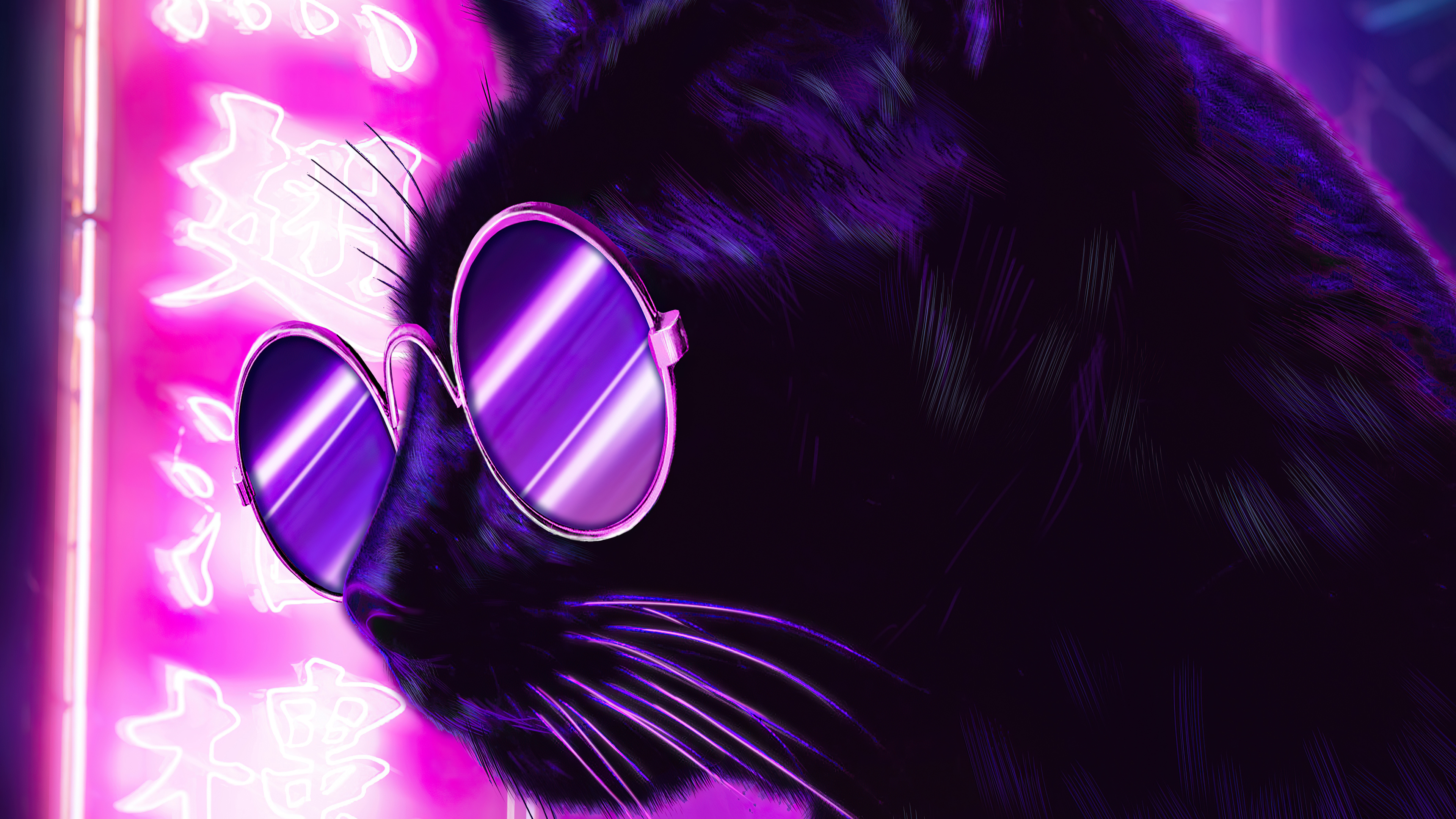 Cat Glasses Wallpapers