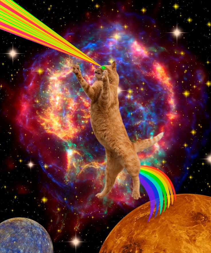 Cat Universe Wallpapers