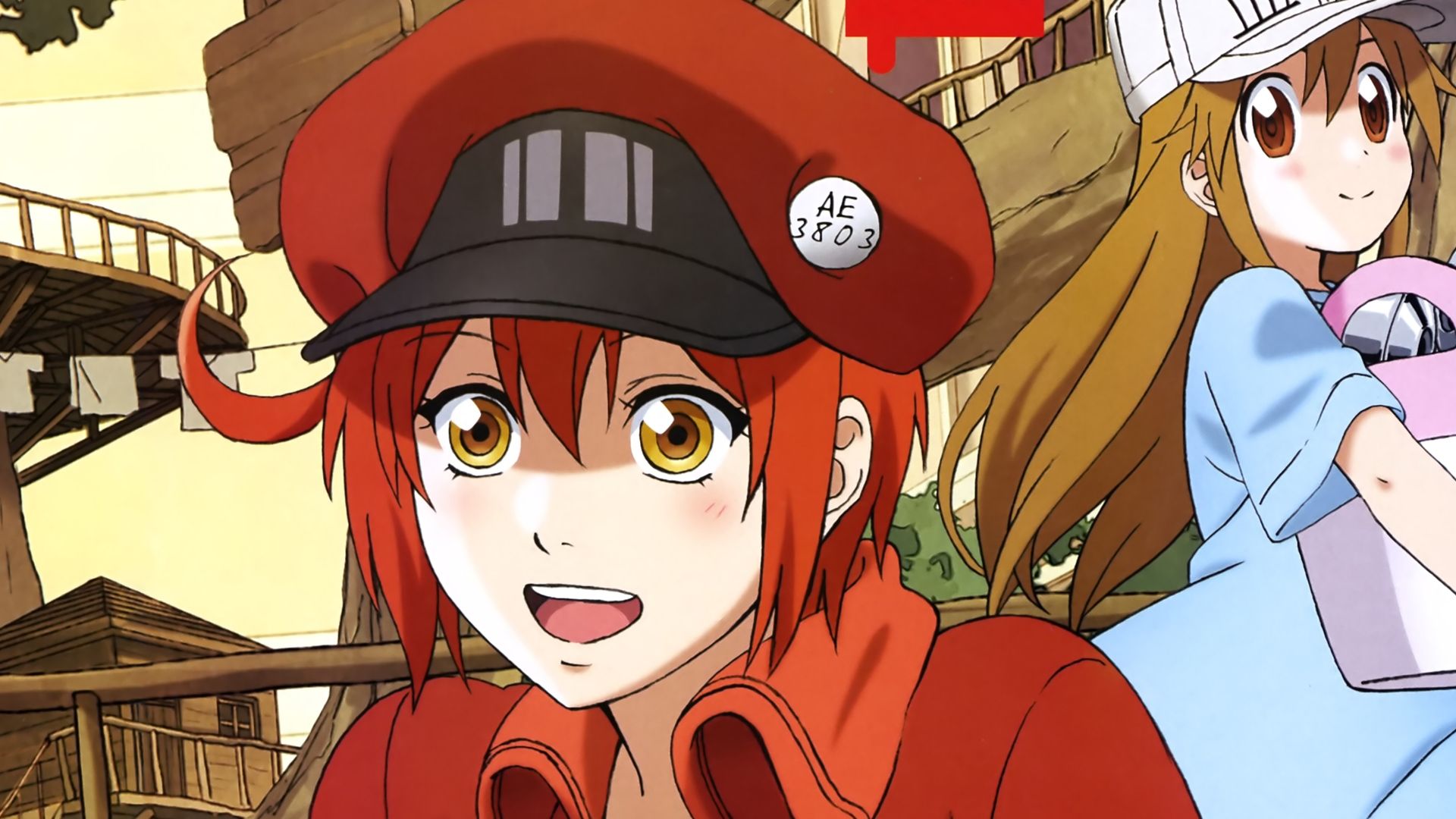 Cells At Work Wallpapers