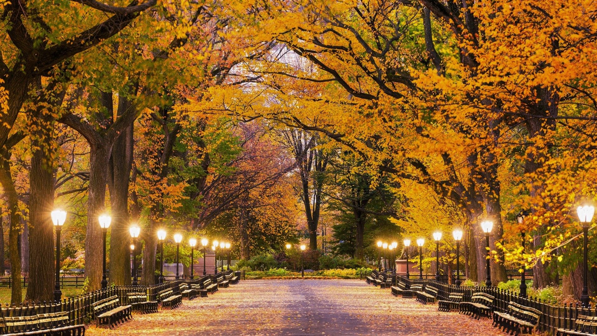 Central Park Fall Wallpapers