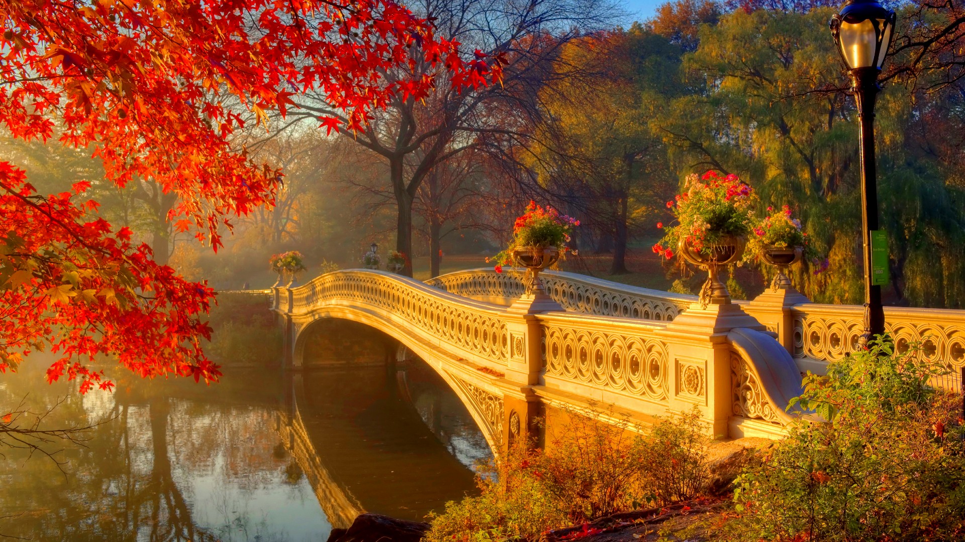 Central Park Fall Wallpapers