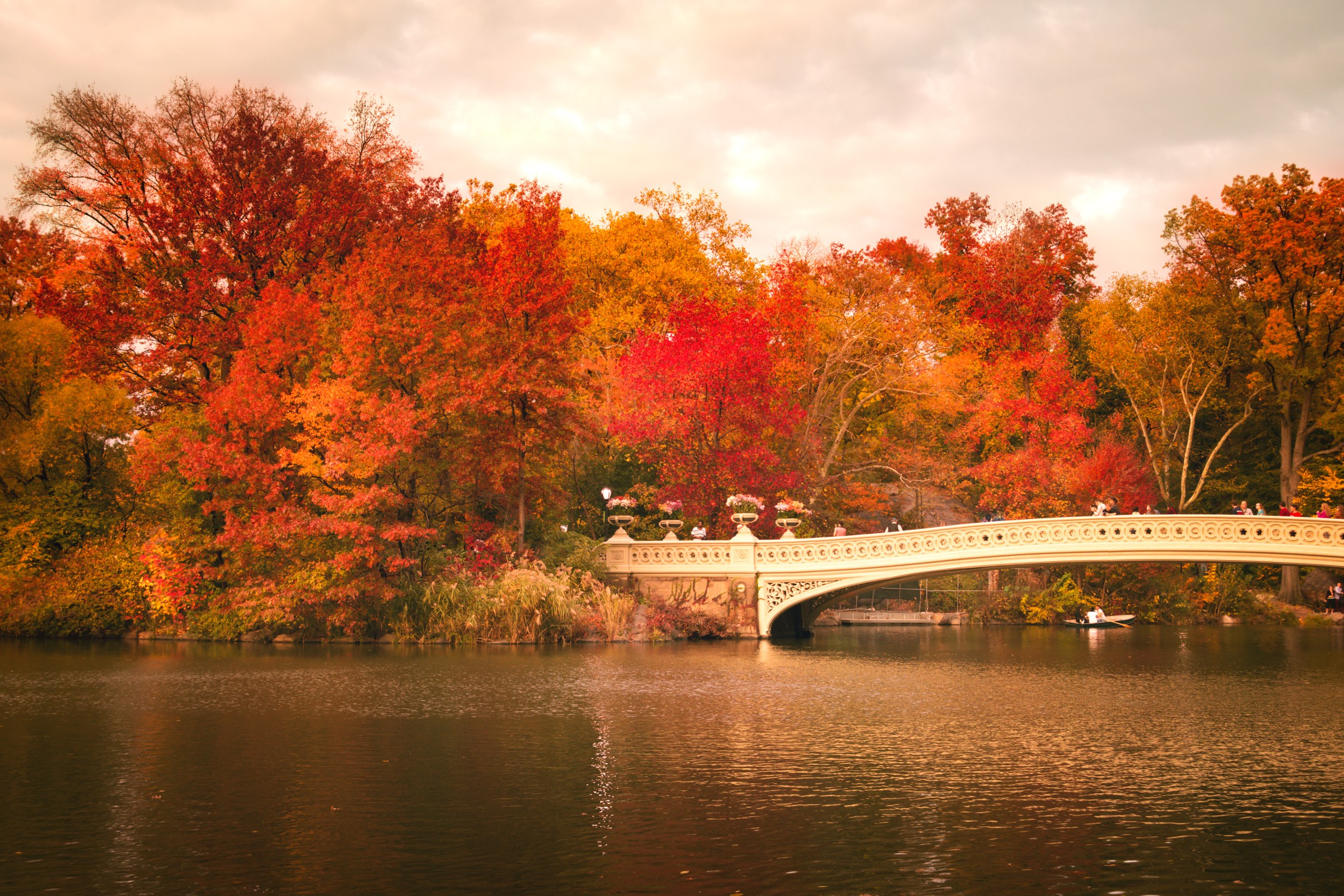 Central Park Fall Wallpapers