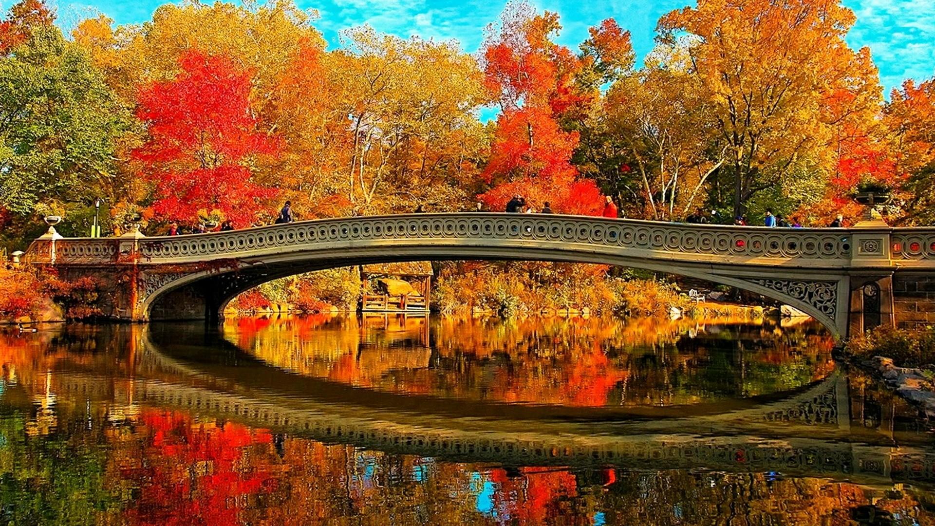 Central Park Fall Wallpapers