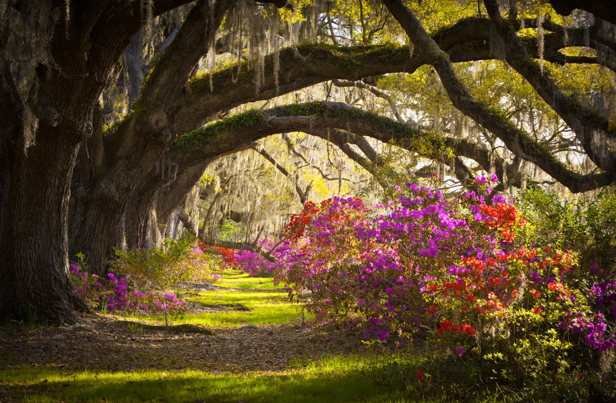 Charleston Sc Wallpapers