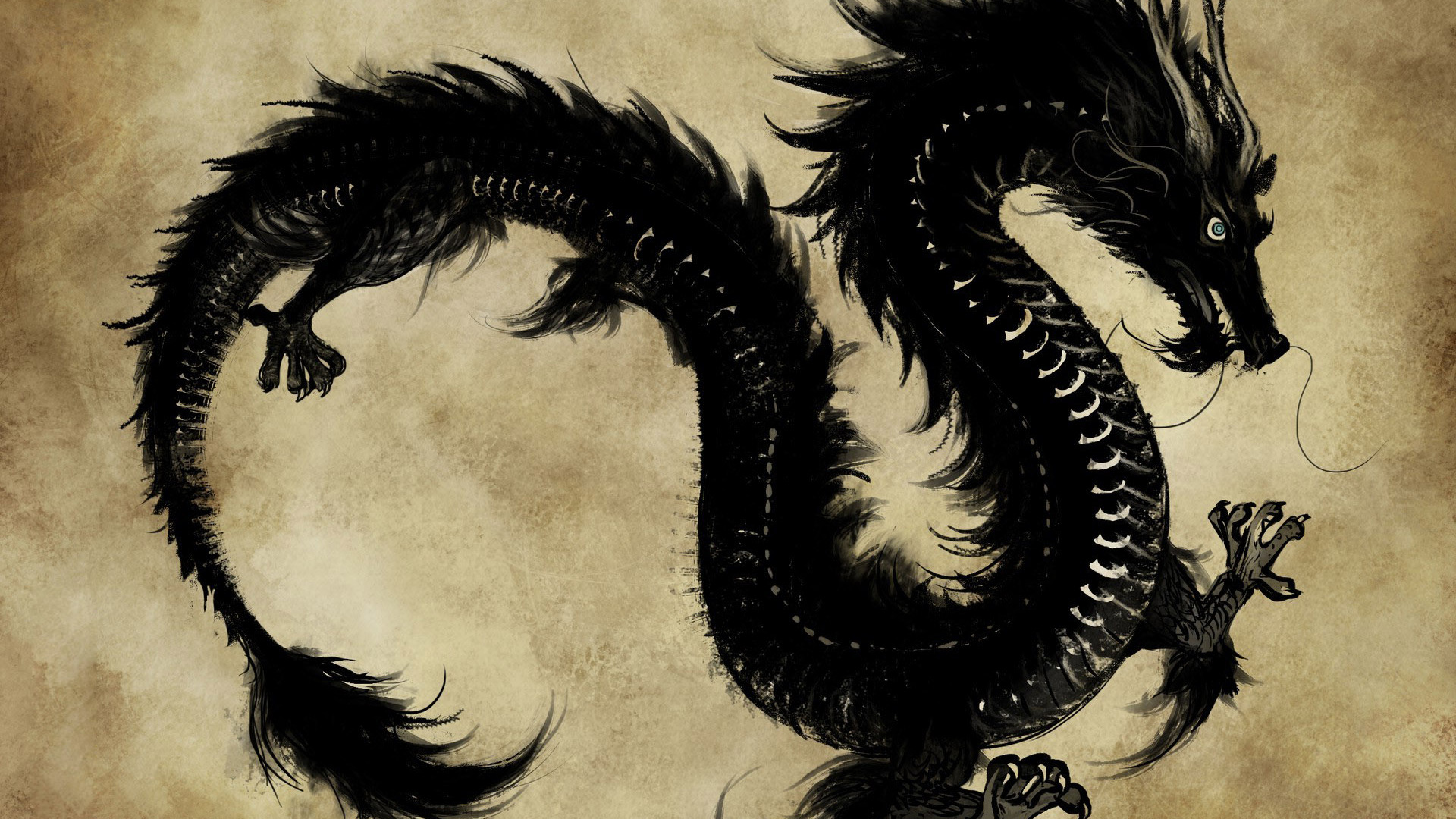 China Dragon Wallpapers