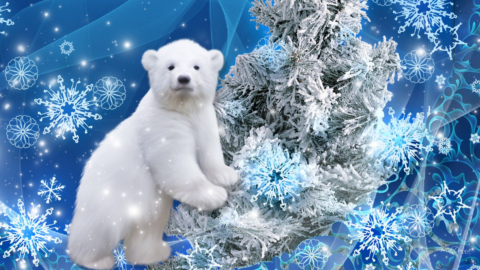 Christmas Polar Bear Wallpapers