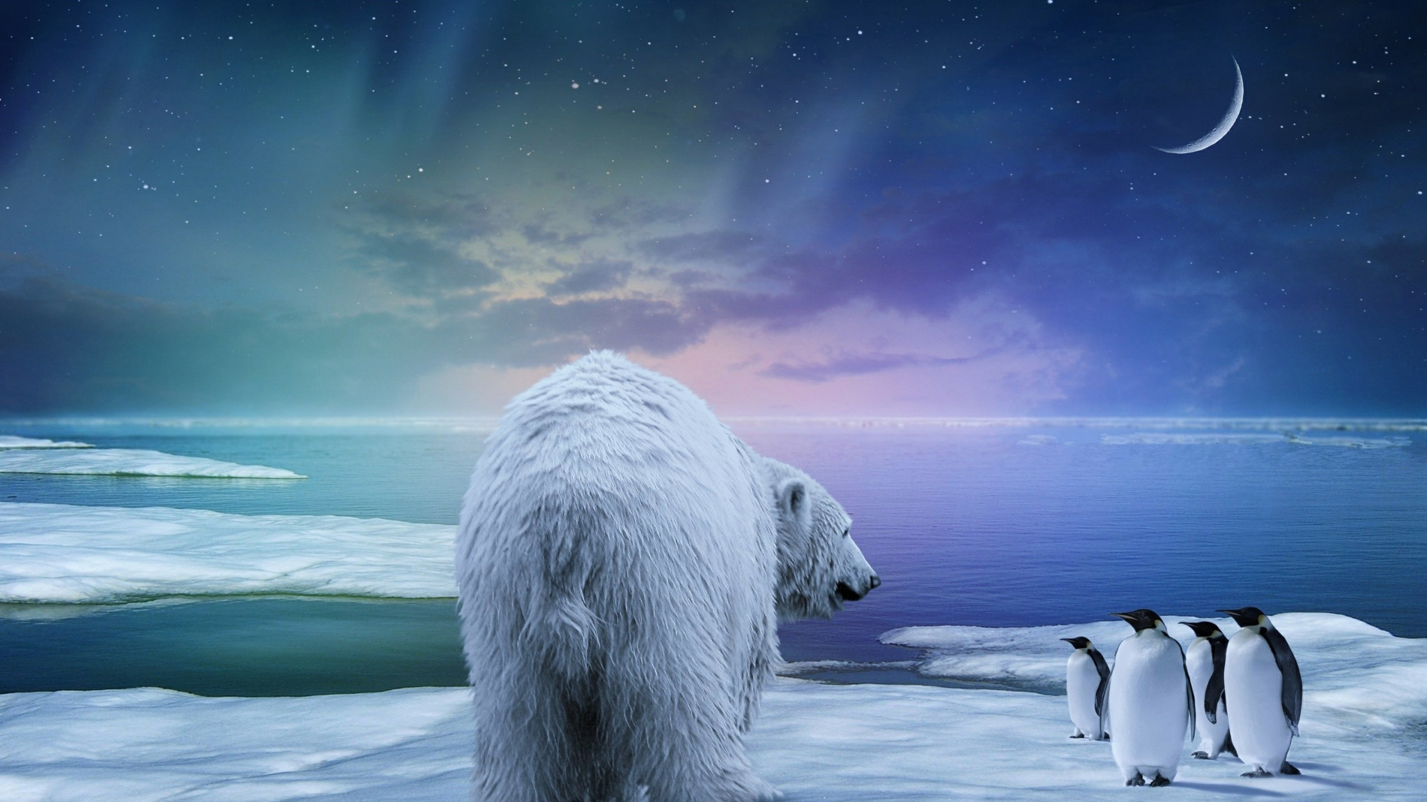 Christmas Polar Bear Wallpapers