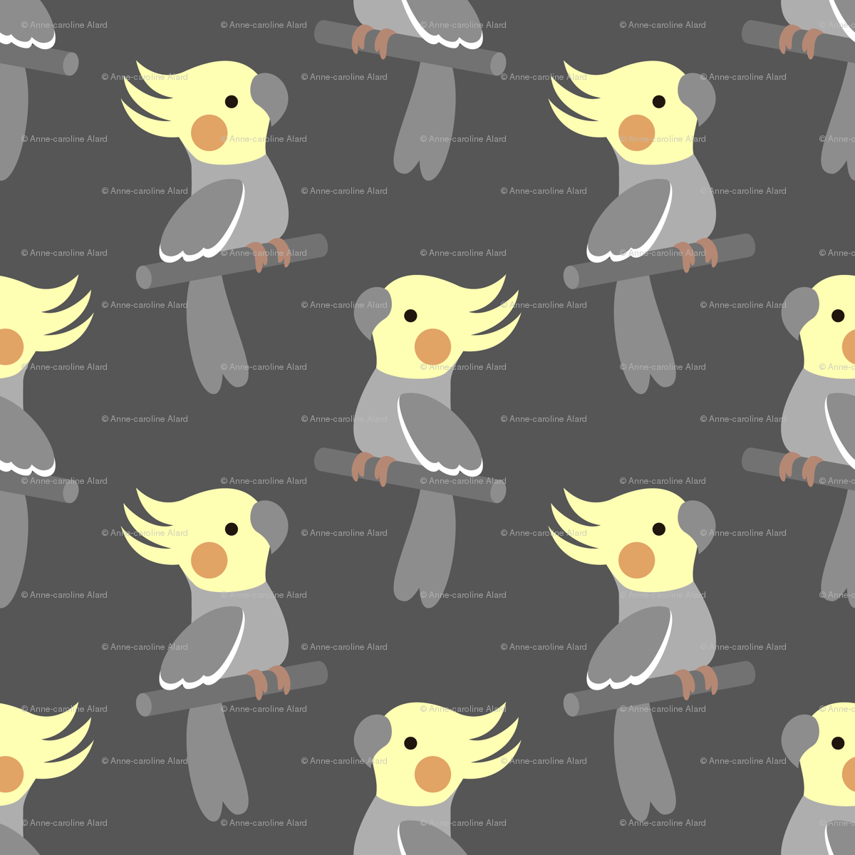 Cockatiel Iphone Wallpapers