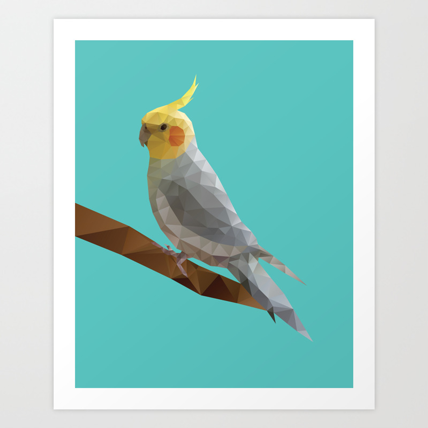 Cockatiel Iphone Wallpapers