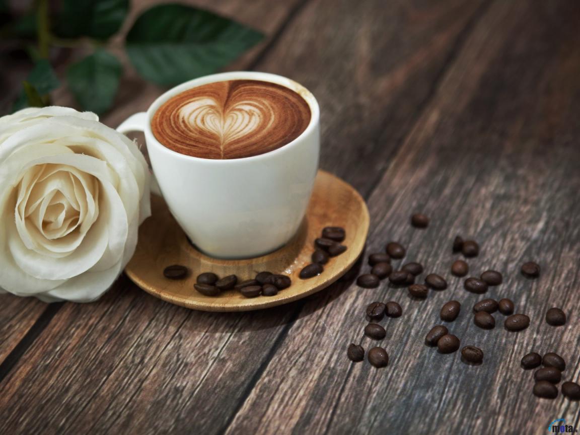 Coffee Love Wallpapers