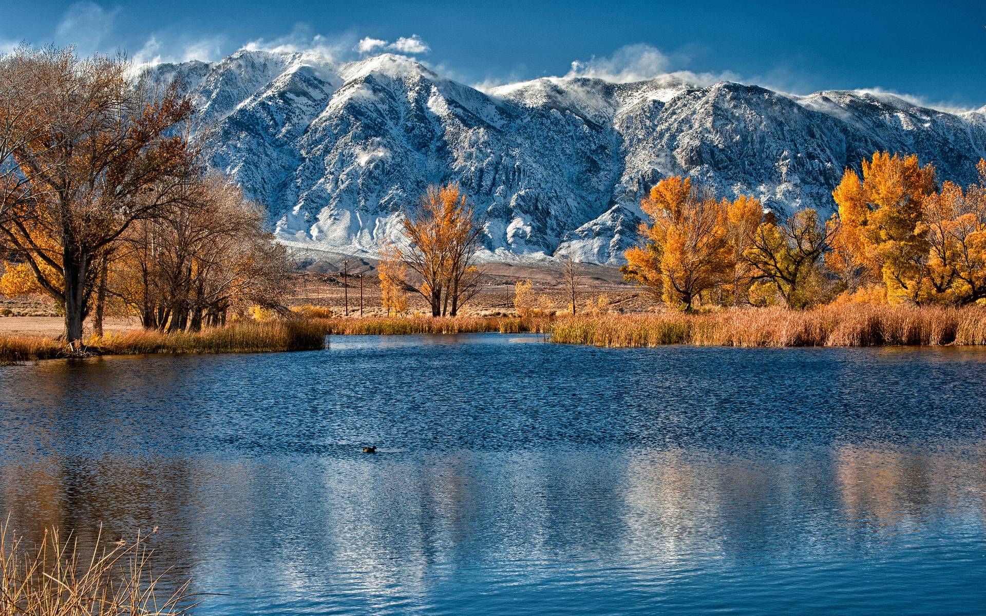 Colorado Snow Wallpapers