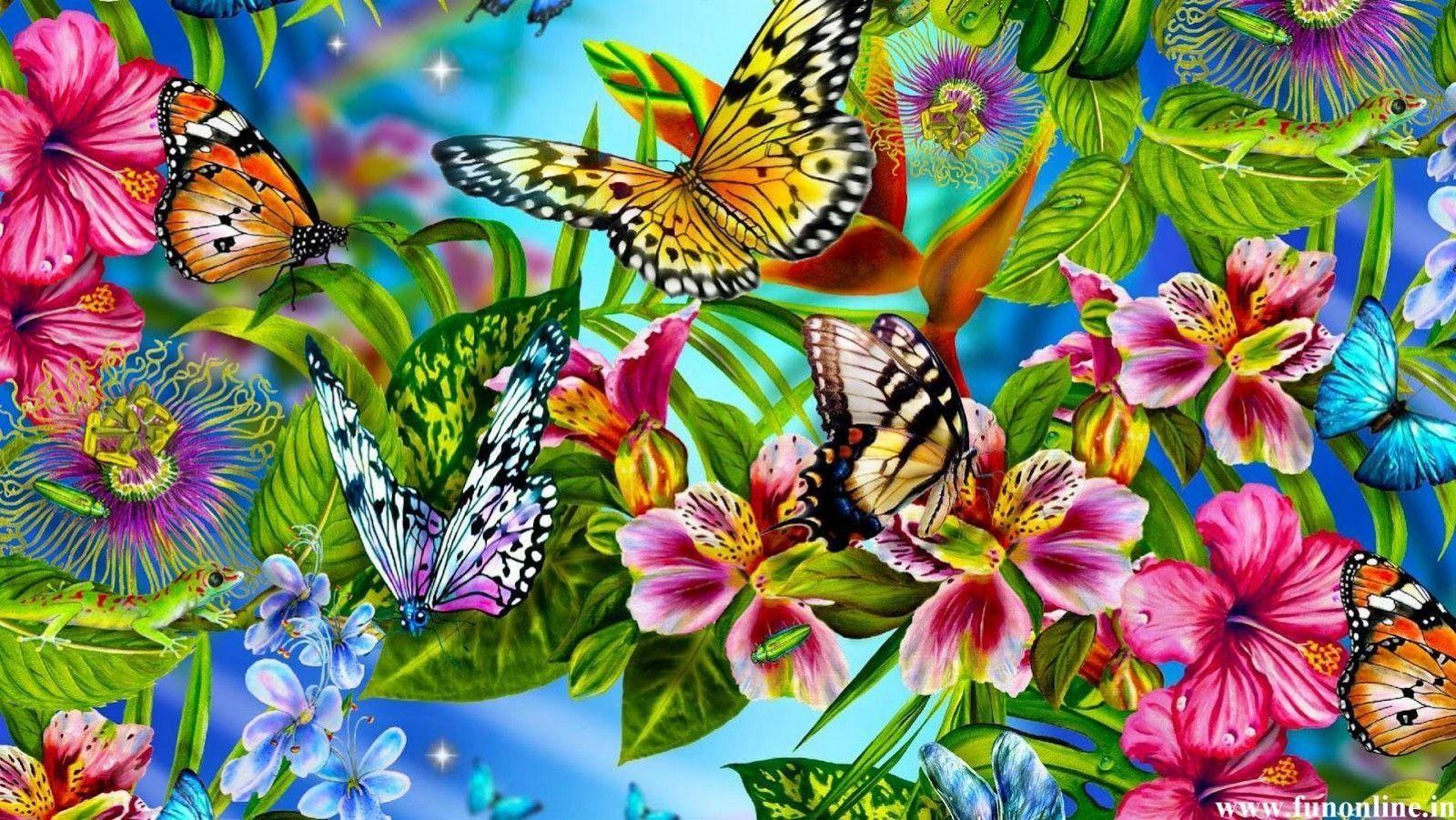 Colorful Butterflies Wallpapers