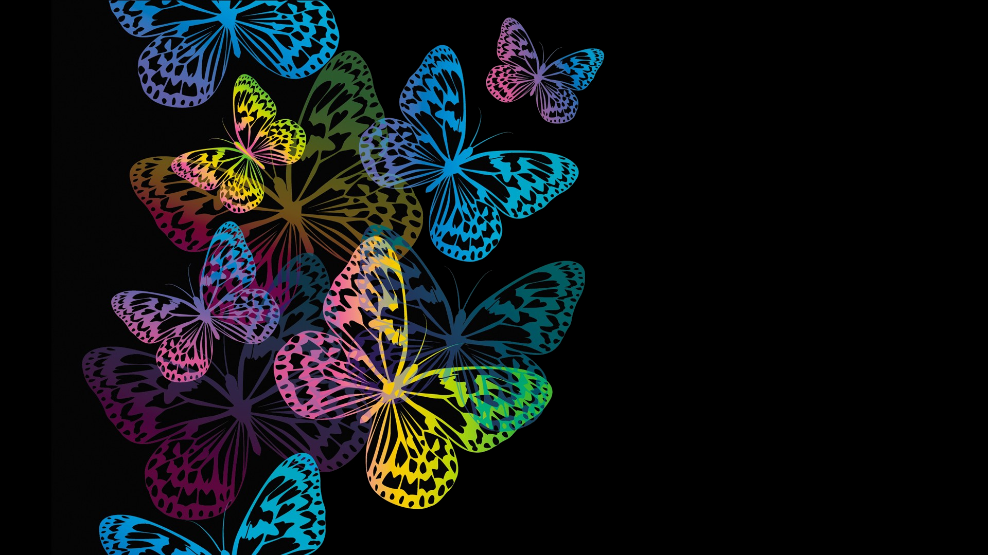 Colorful Butterflies Wallpapers