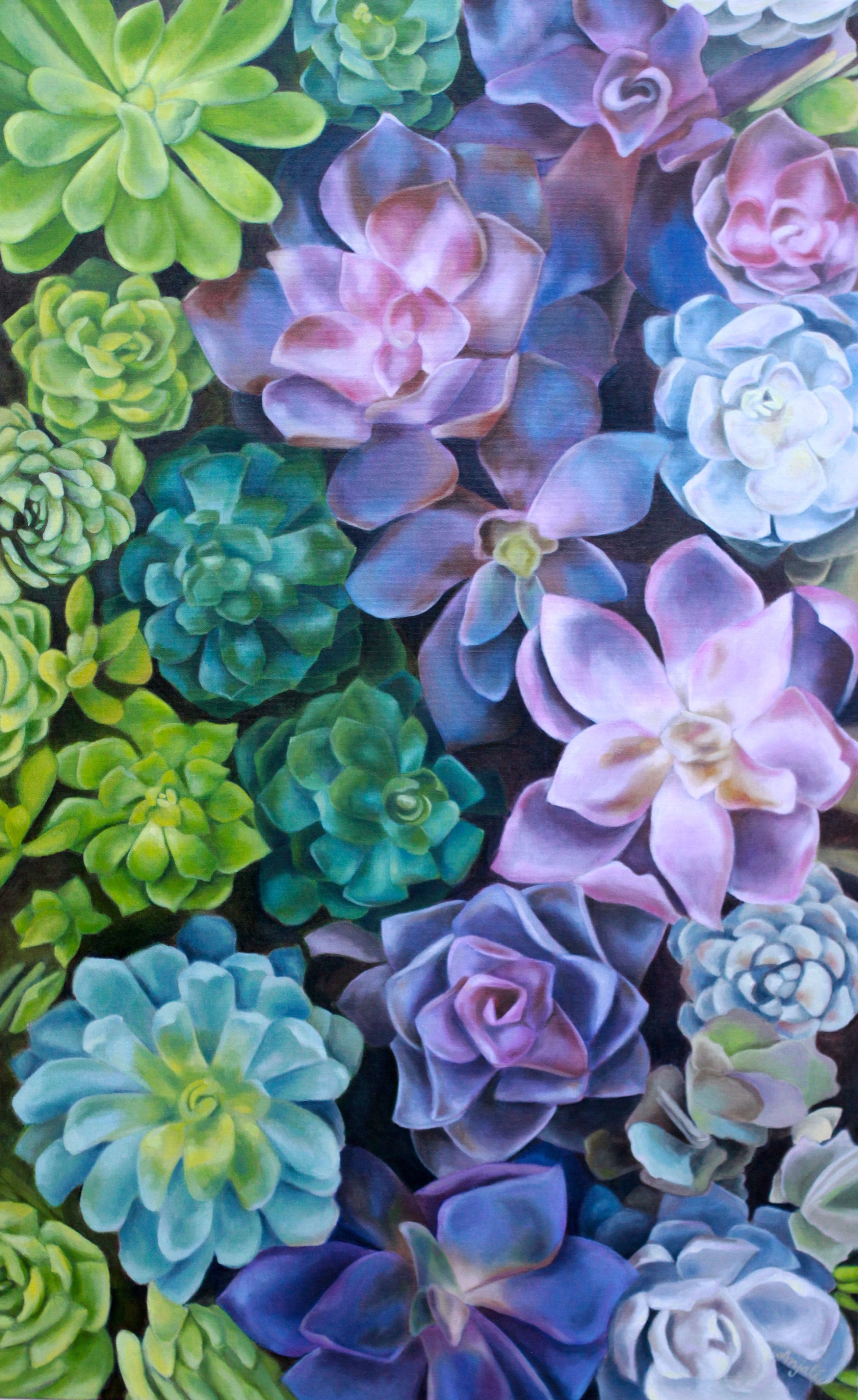 Colorful Succulent Wallpapers