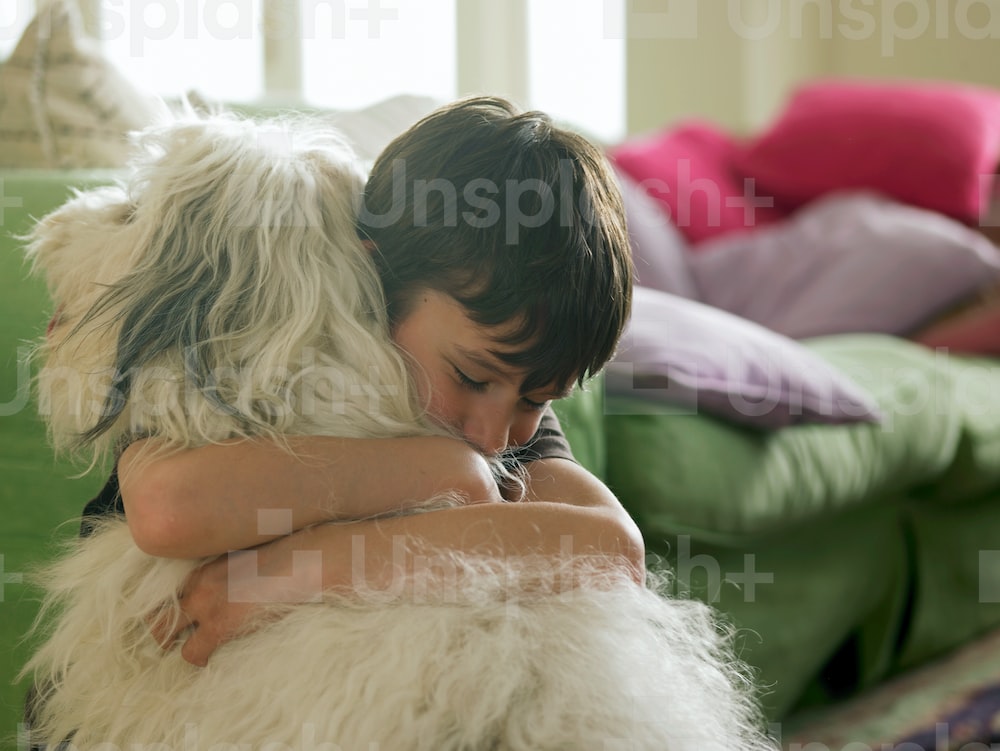 Comfort Animal Hug Wallpapers