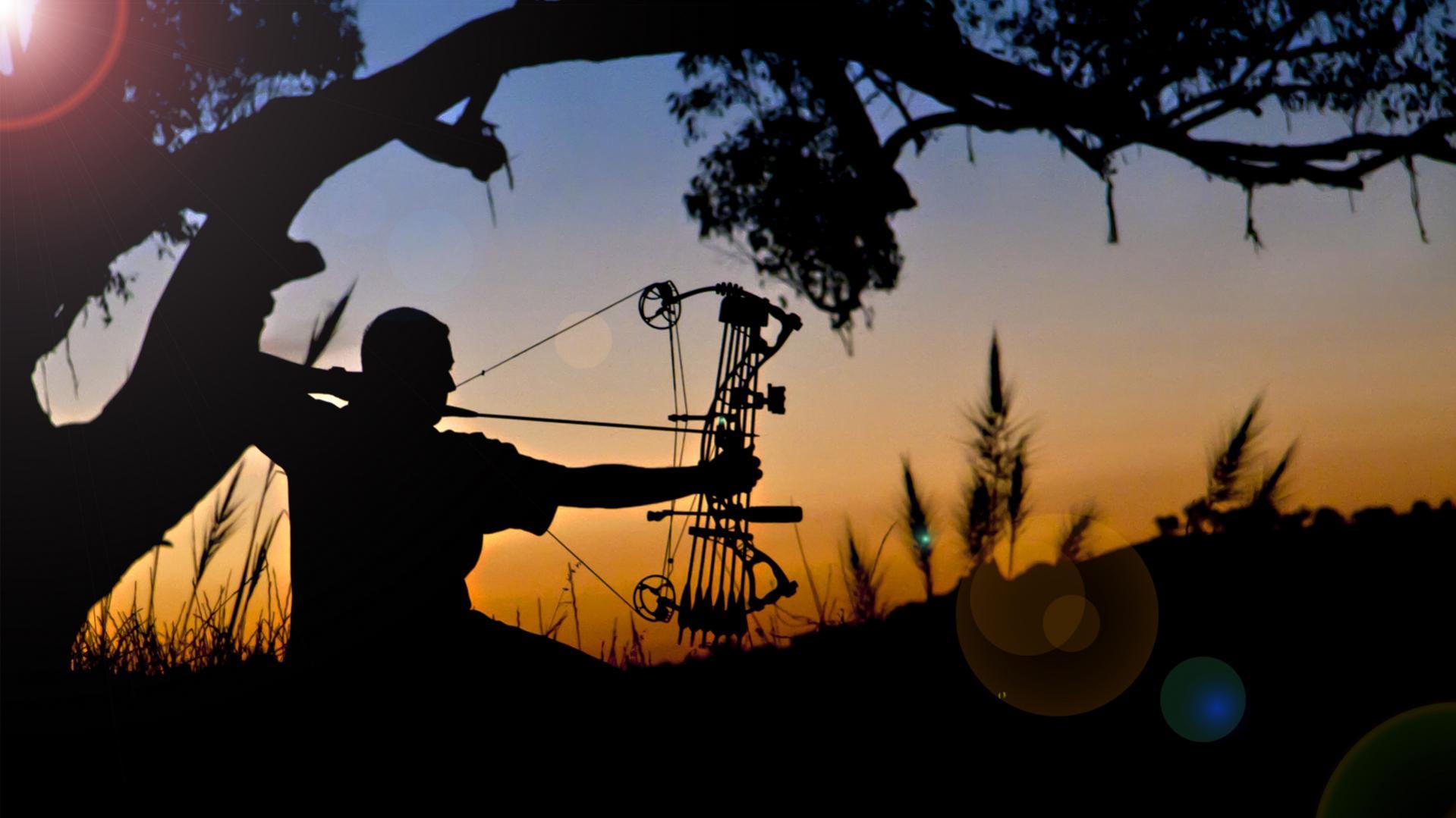 Compound Bow Wallpapers