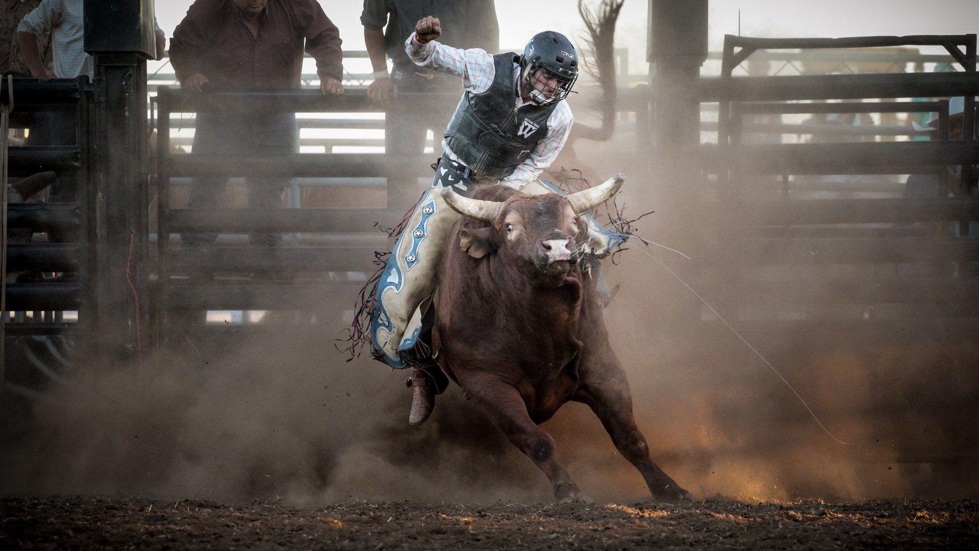 Cool Bull Riding Wallpapers