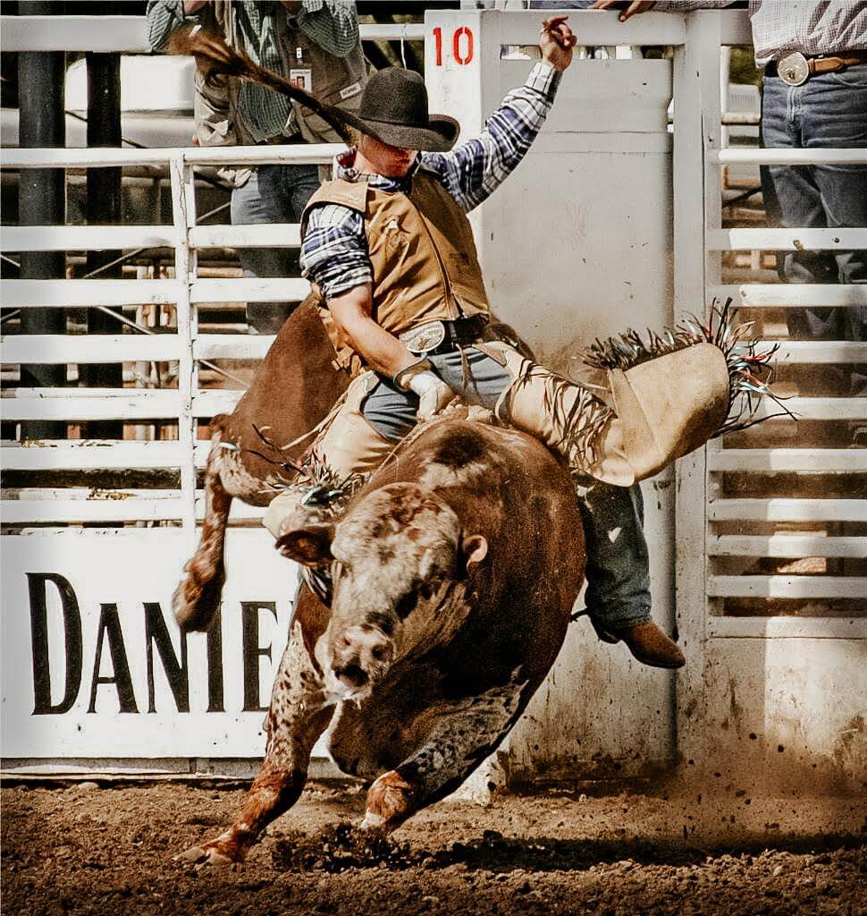 Cool Bull Riding Wallpapers