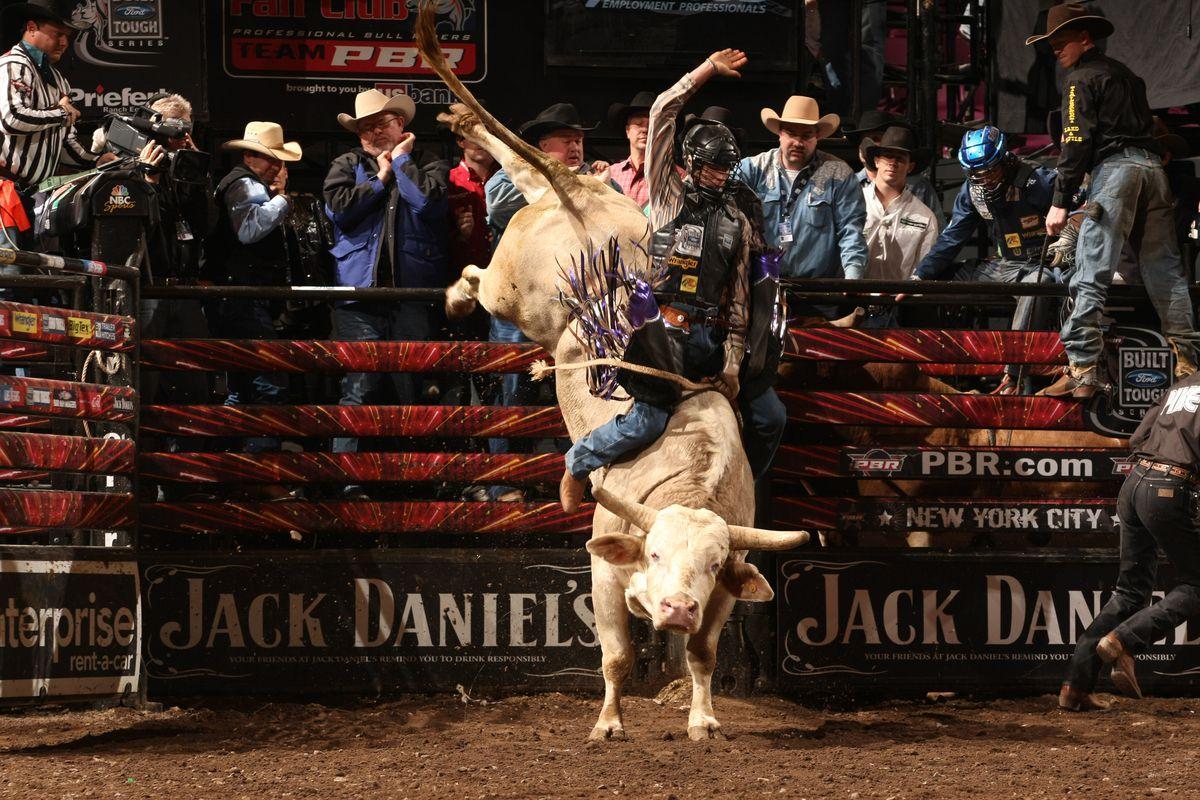 Cool Bull Riding Wallpapers