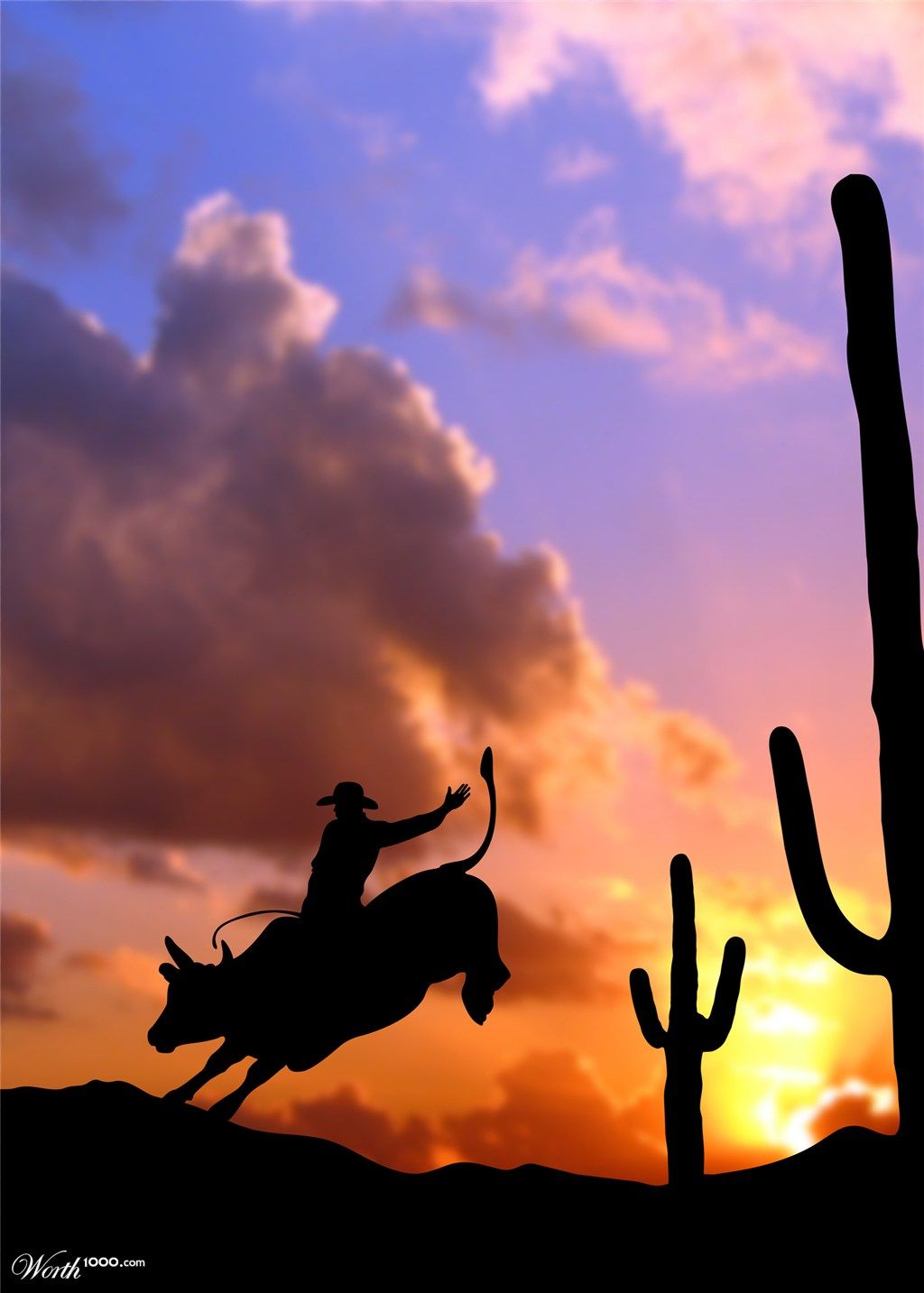 Cool Bull Riding Wallpapers