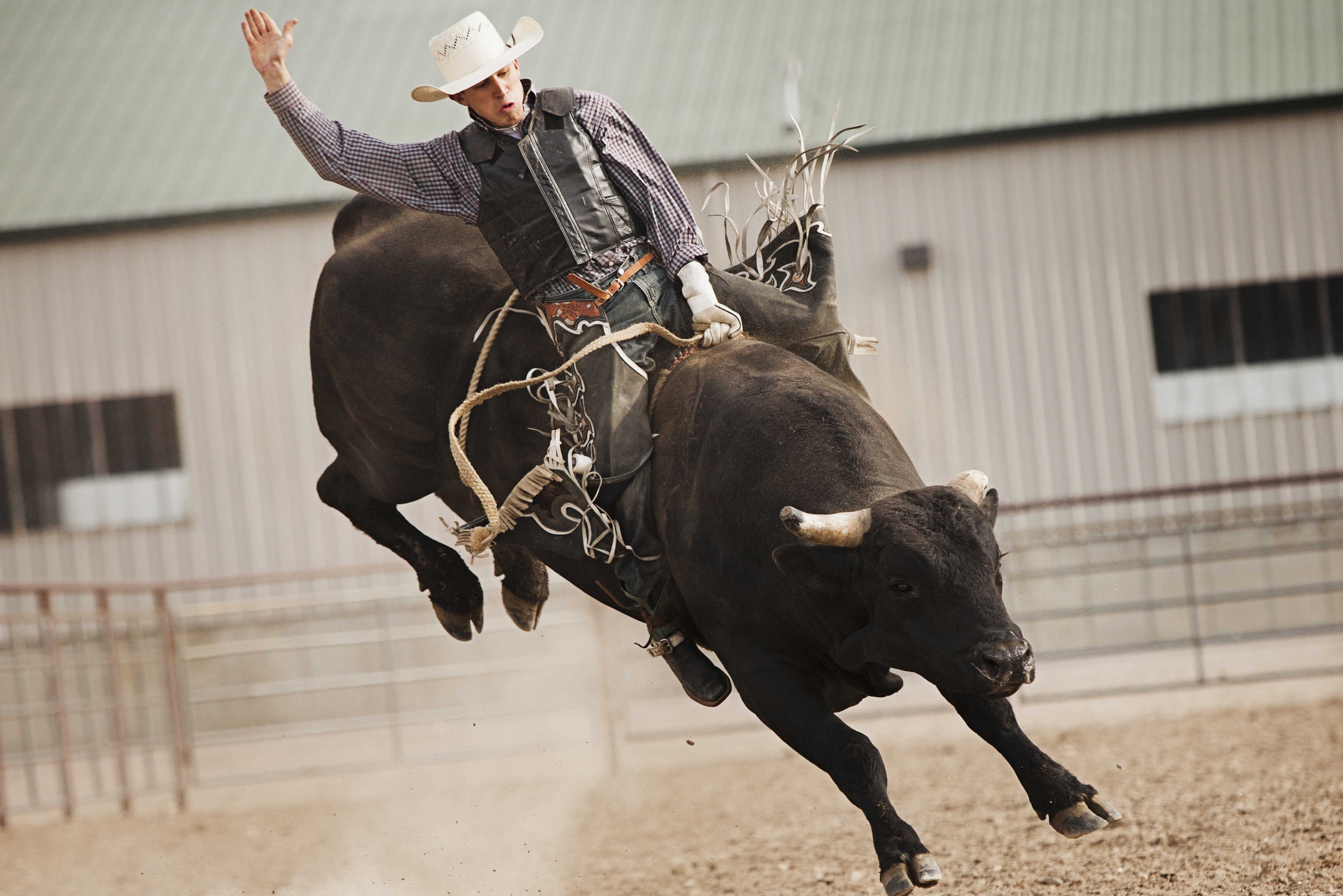 Cool Bull Riding Wallpapers