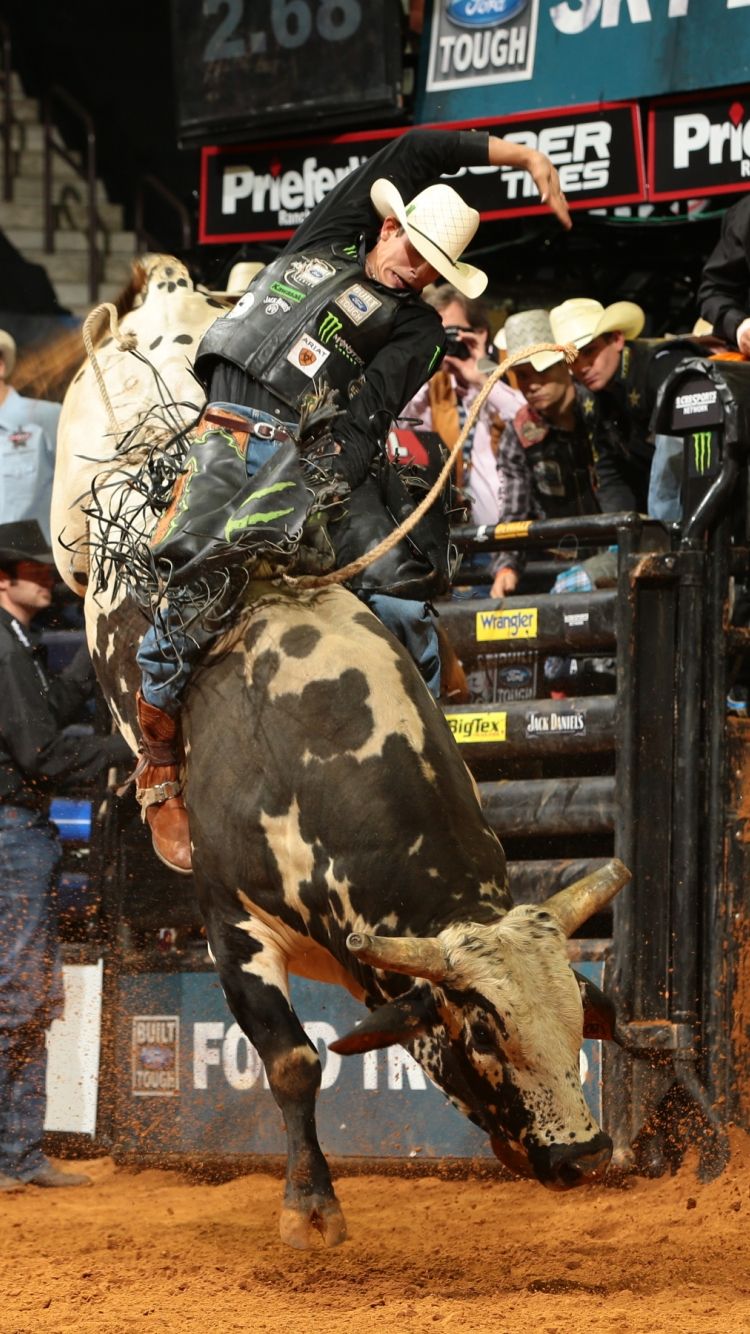 Cool Bull Riding Wallpapers