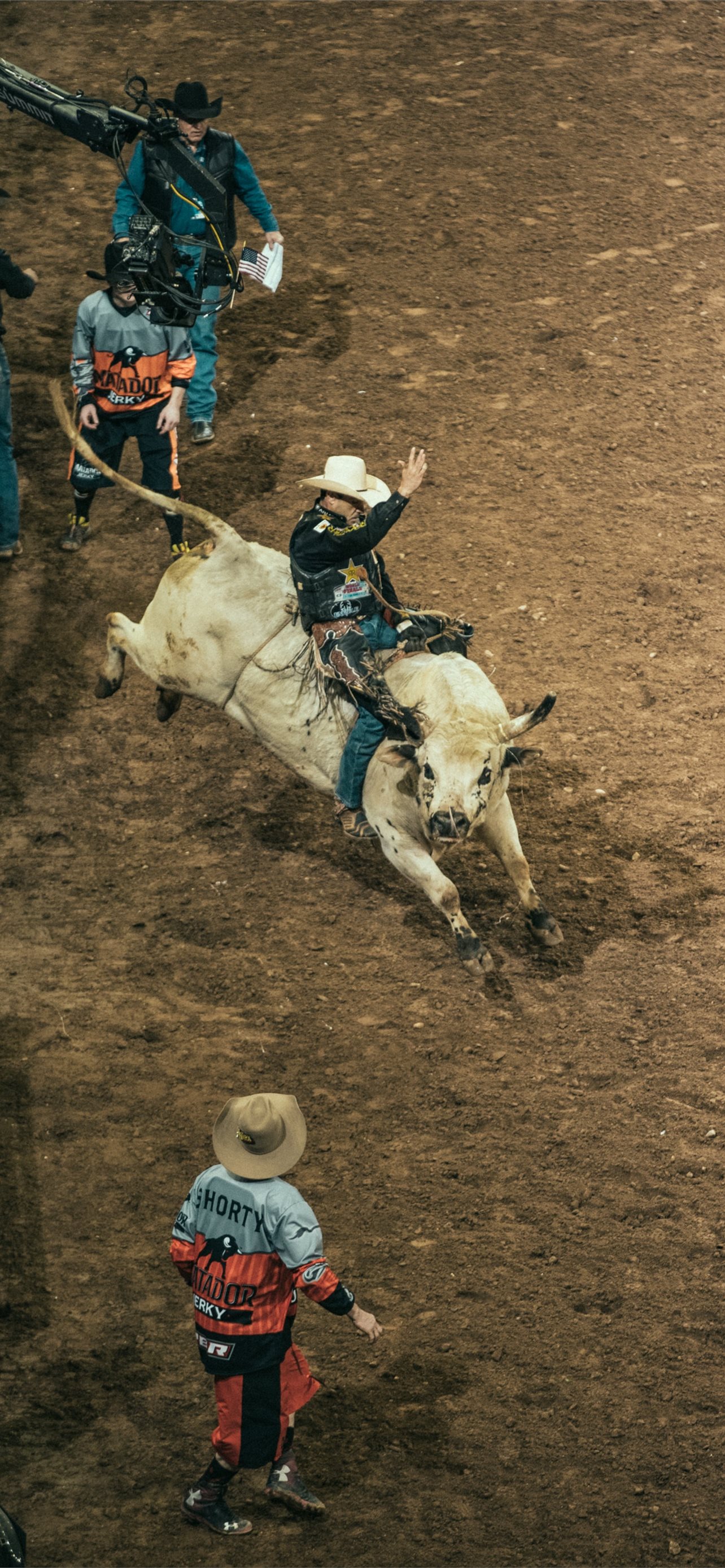 Cool Bull Riding Wallpapers