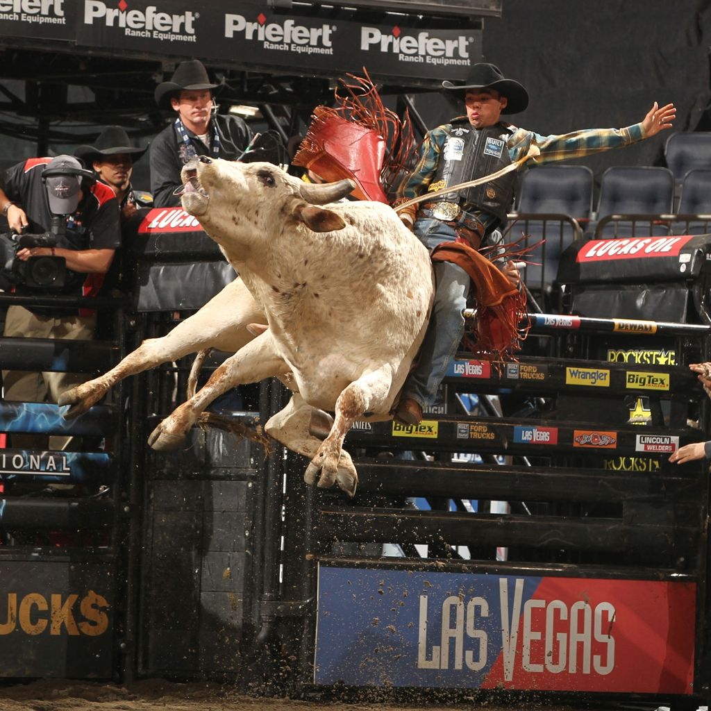 Cool Bull Riding Wallpapers