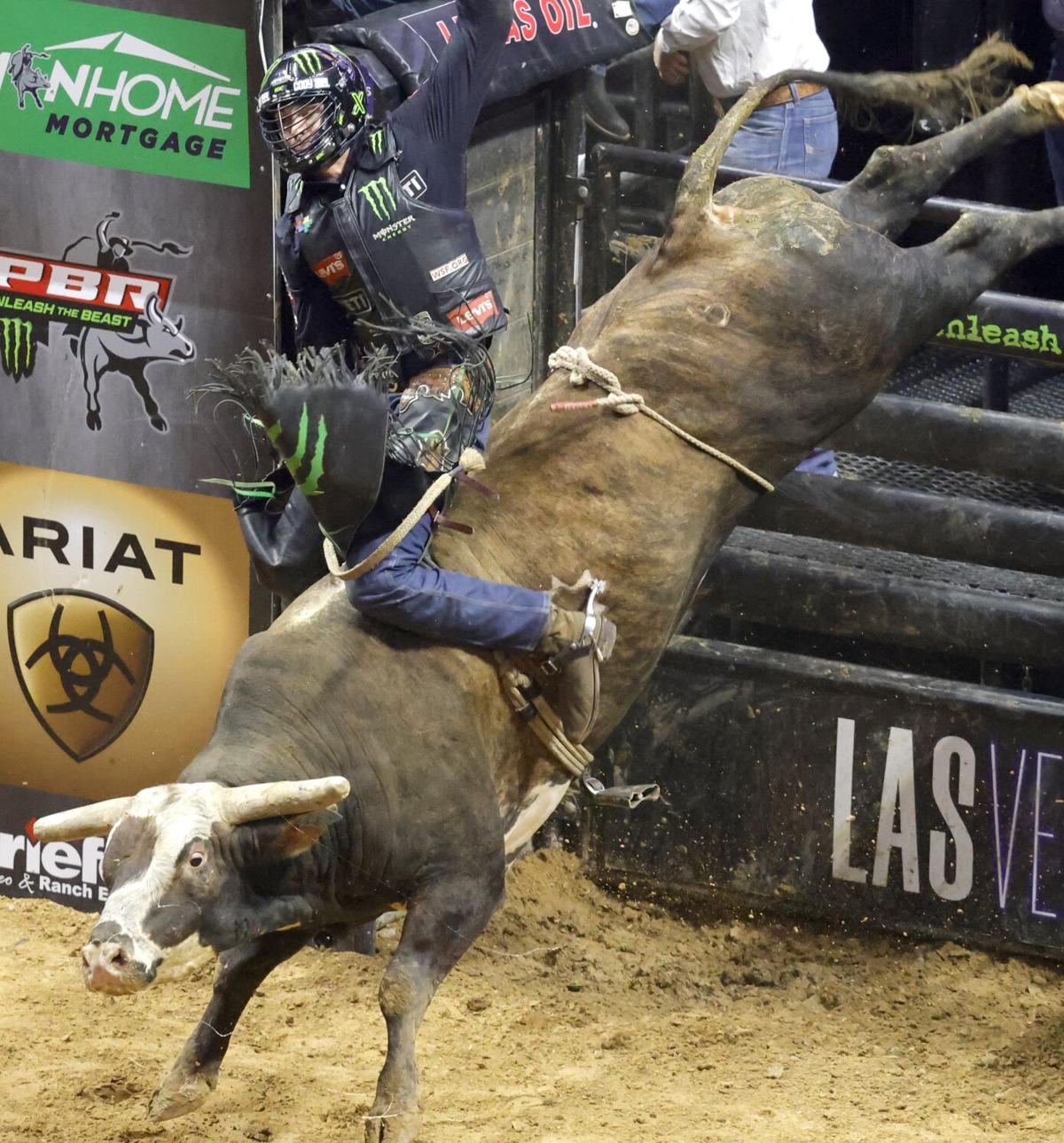 Cool Bull Riding Wallpapers