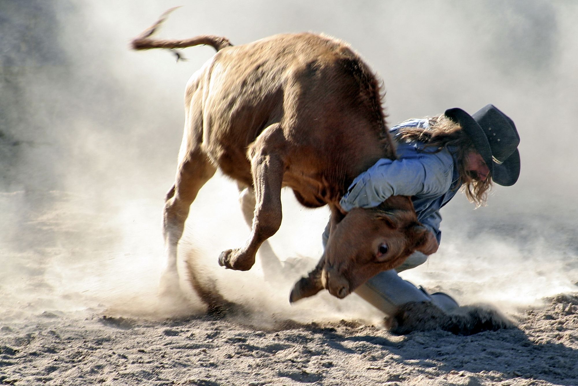 Cool Bull Riding Wallpapers