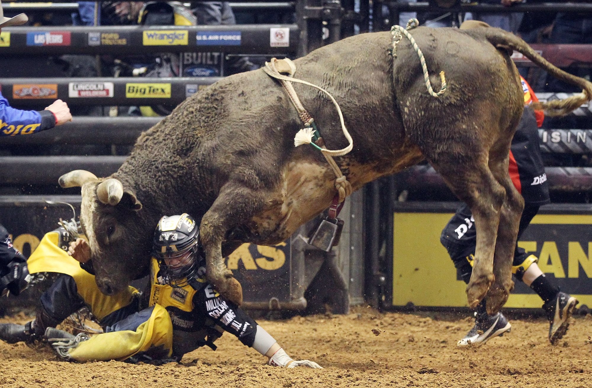 Cool Bull Riding Wallpapers