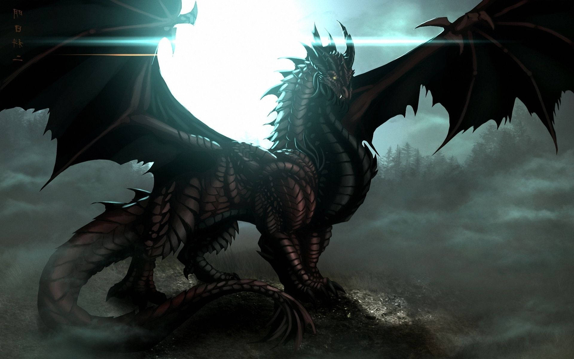 Cool Dragons Pictures Wallpapers