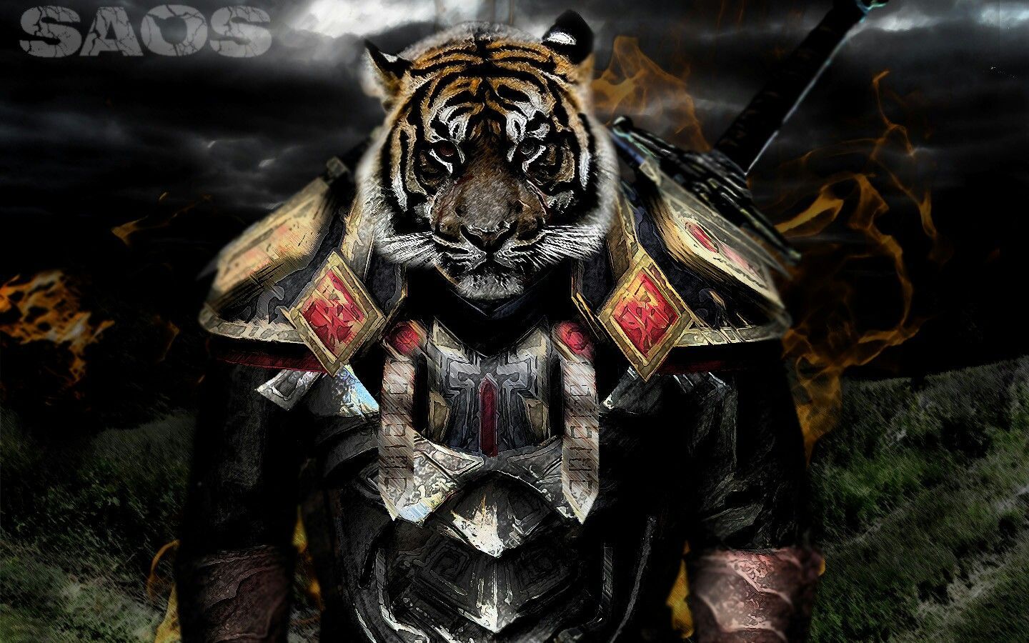 Cool Tiger Warrior Wallpapers