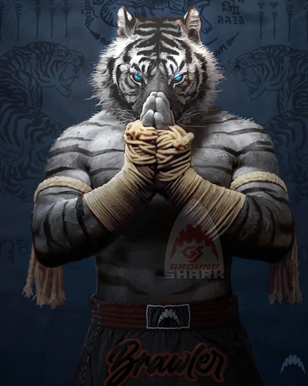 Cool Tiger Warrior Wallpapers