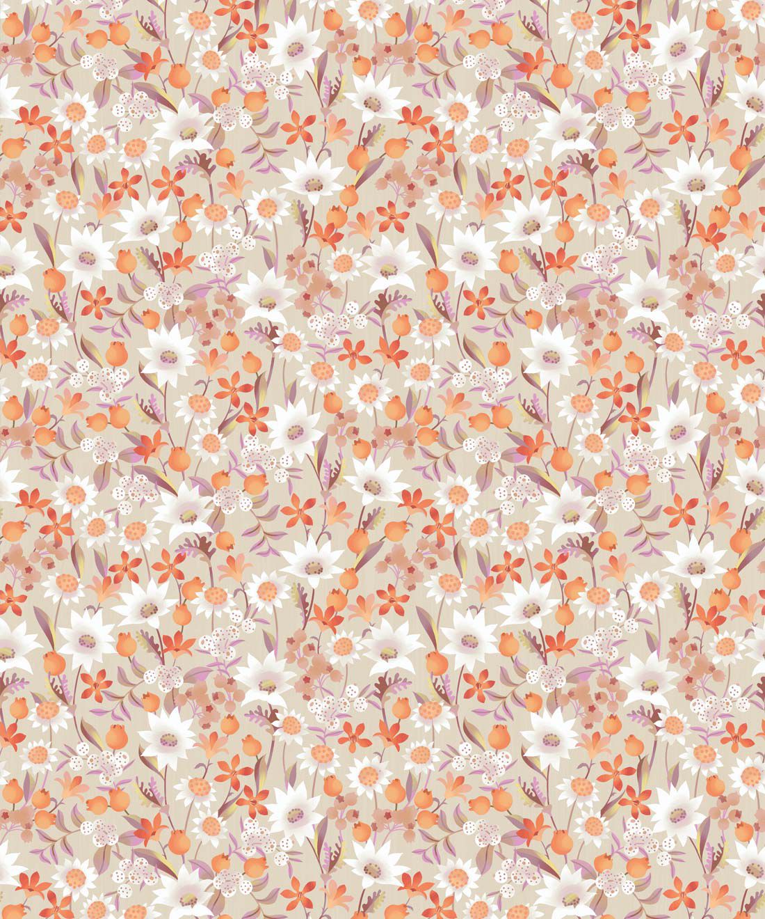 Coral Flowers Wallpapers